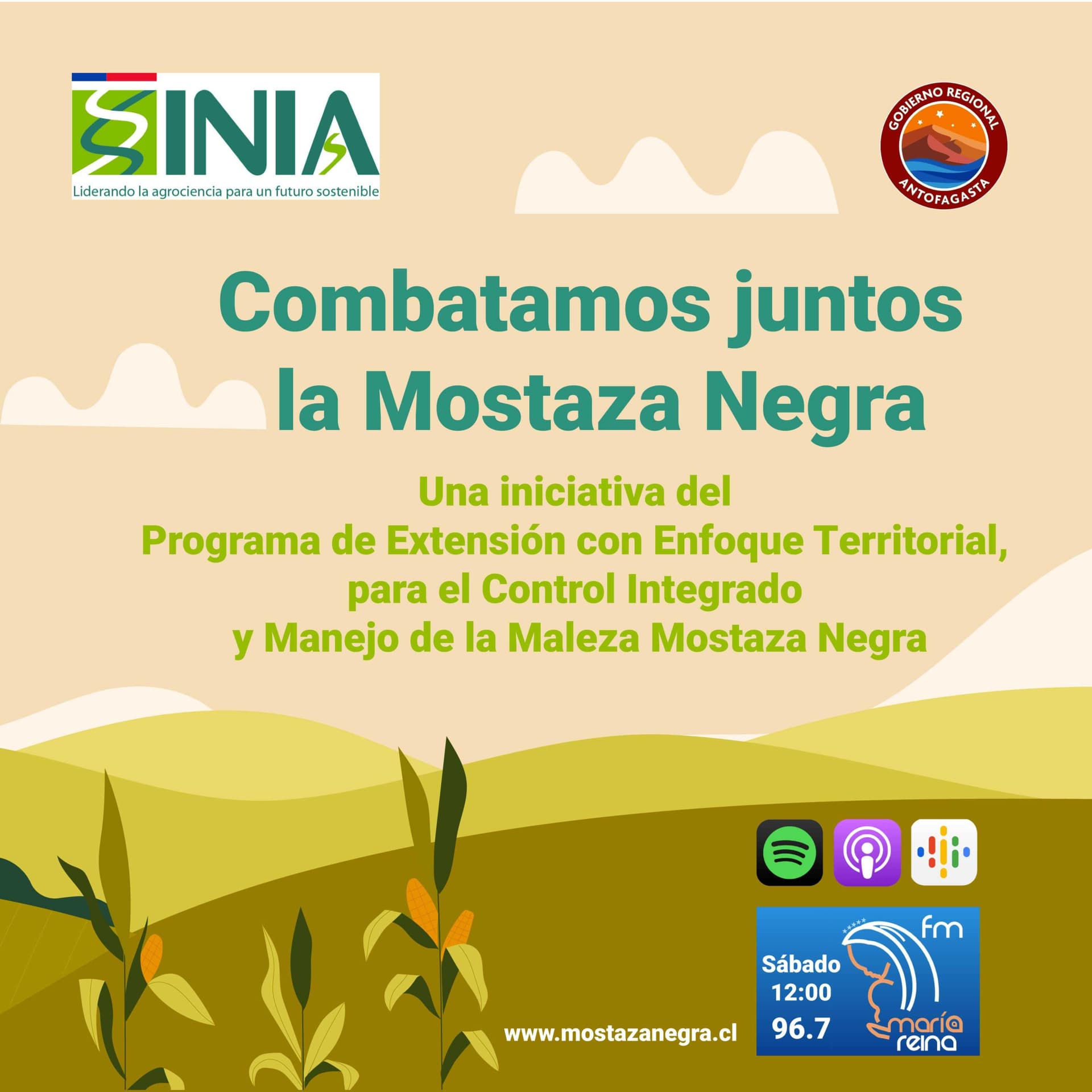 Combatamos juntos la Maleza Mostaza Negra - Podcasts