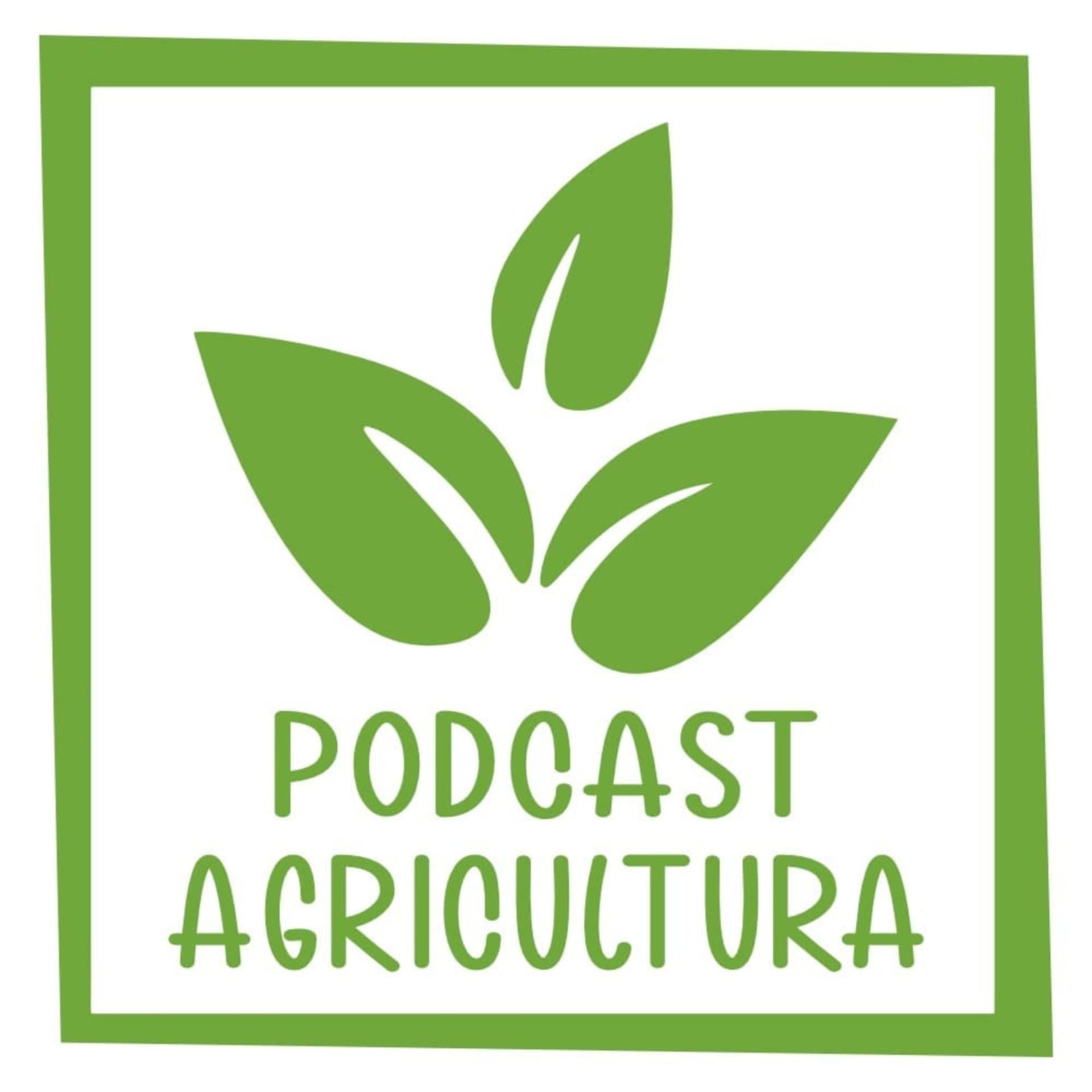 Podcast Agricultura - Podcasts