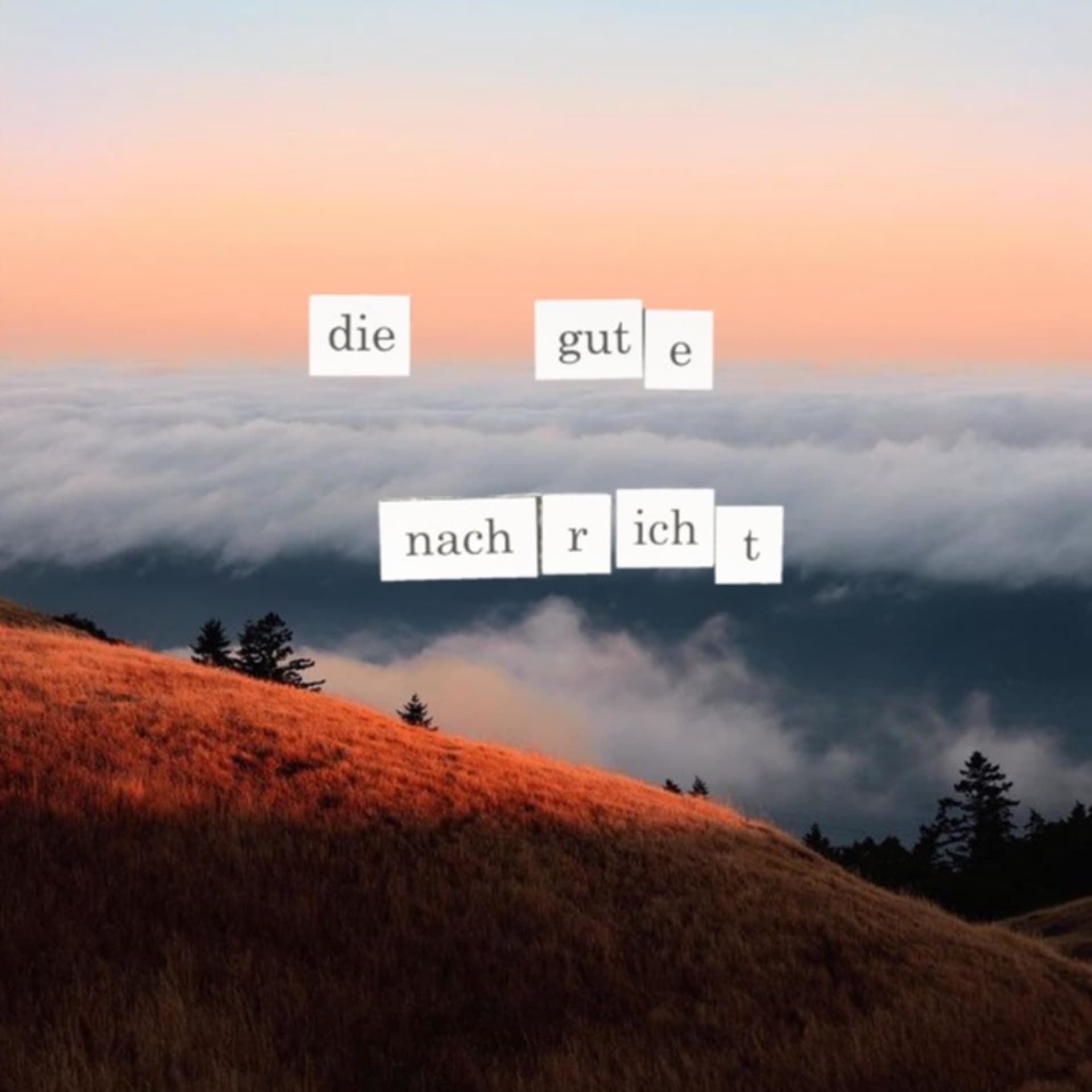 Die Gute Nachricht Audio-Bibel - Podcasts