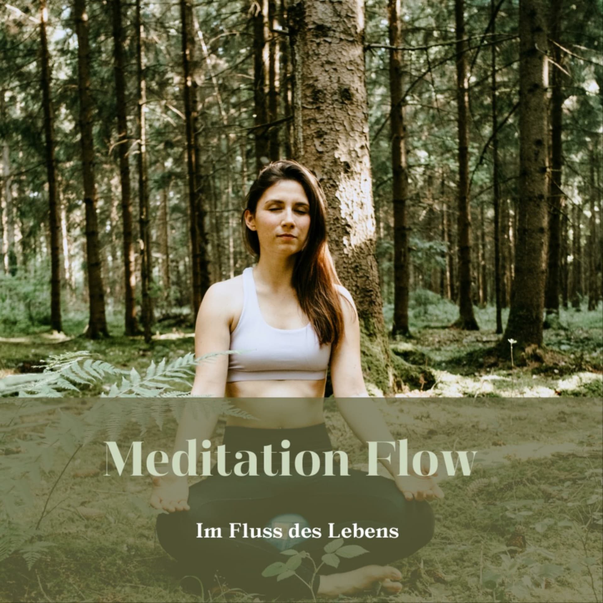 Meditation Flow - Im Fluss des Lebens - Podcasts