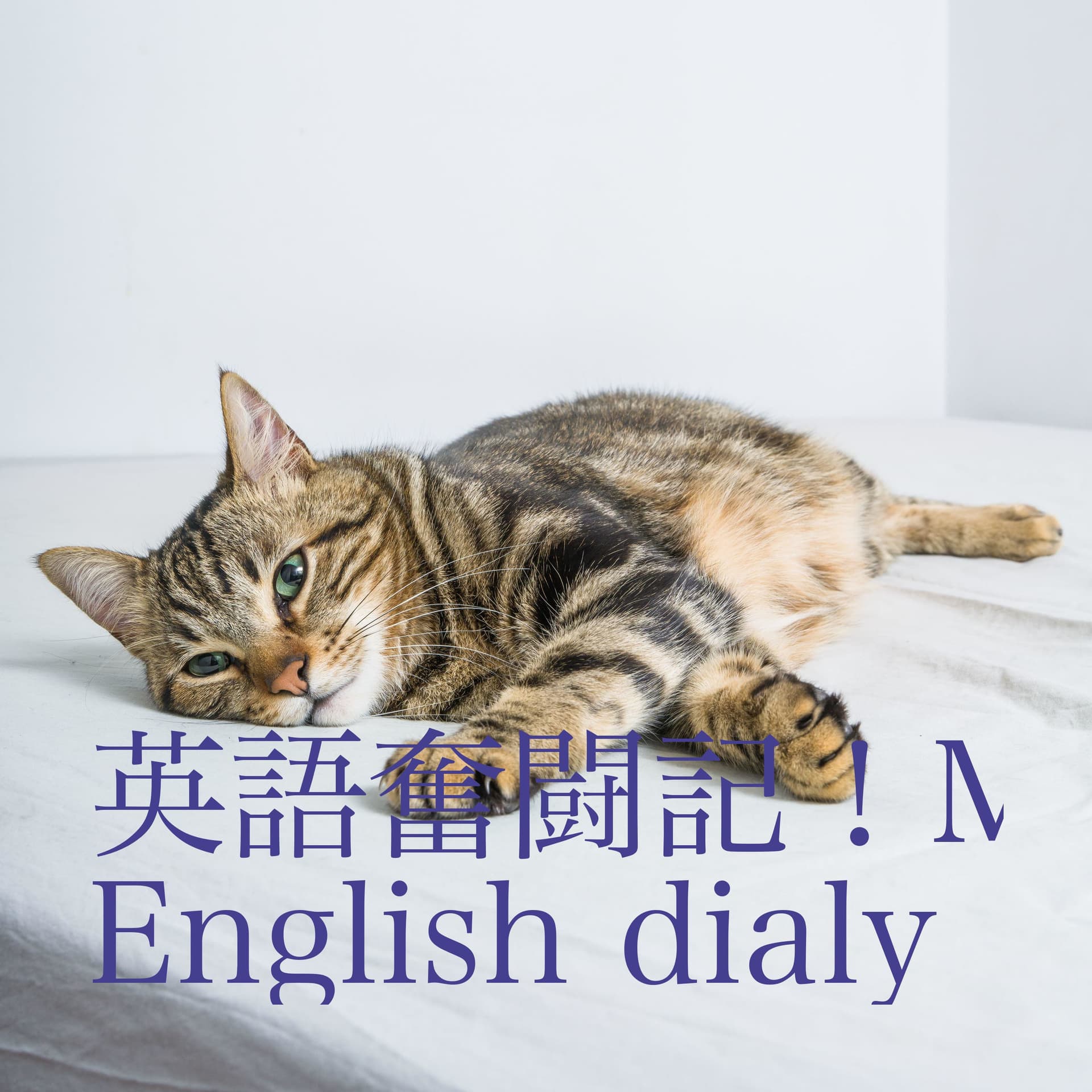 英語奮闘記!Marume’s English dialy - Podcasts
