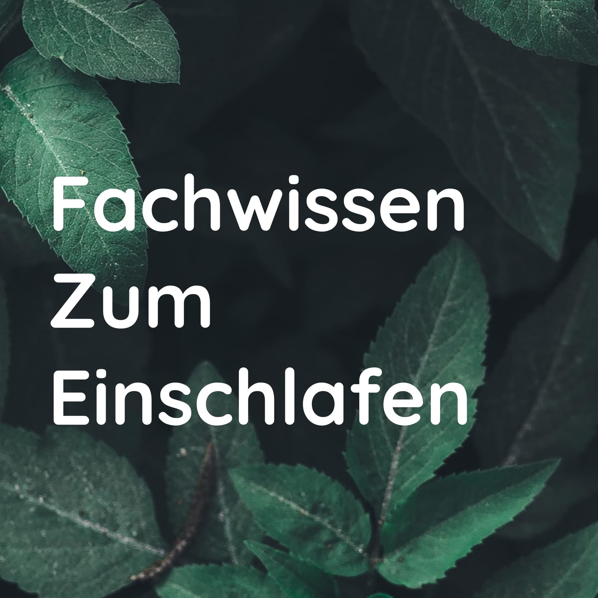 Fachwissen Zum Einschlafen - Podcasts
