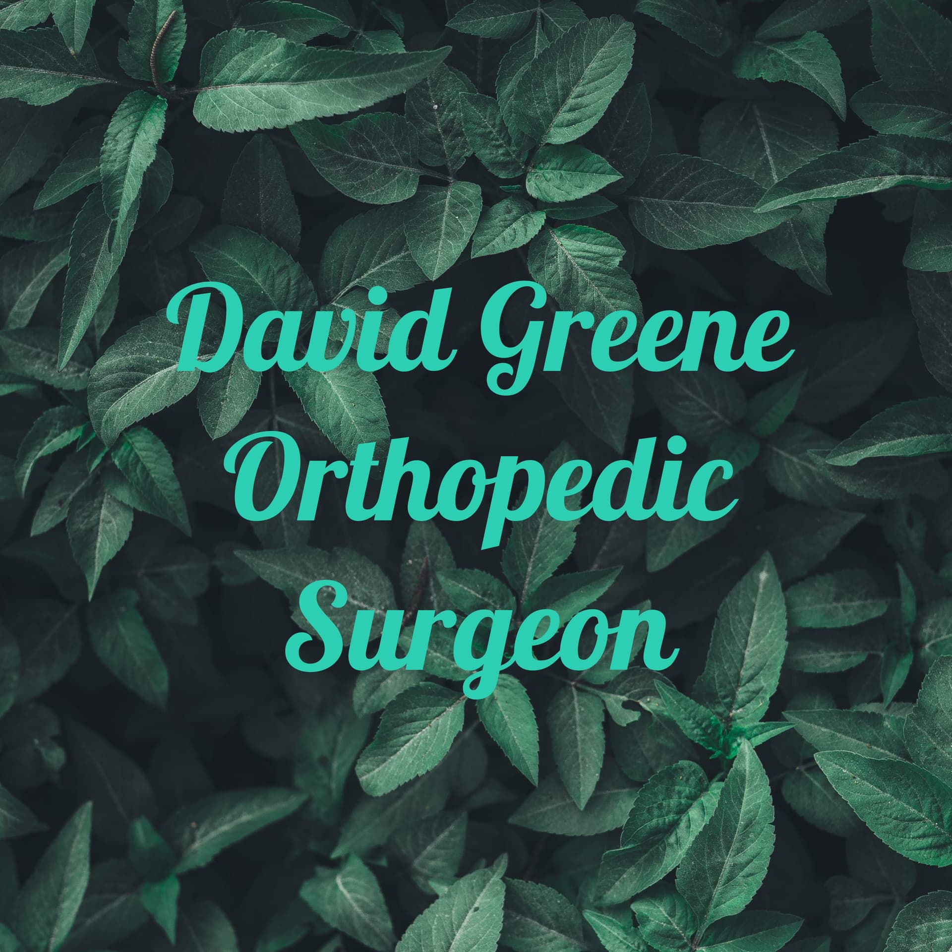 Dr. David Greene Orthopedic Surgeon - Podcasts