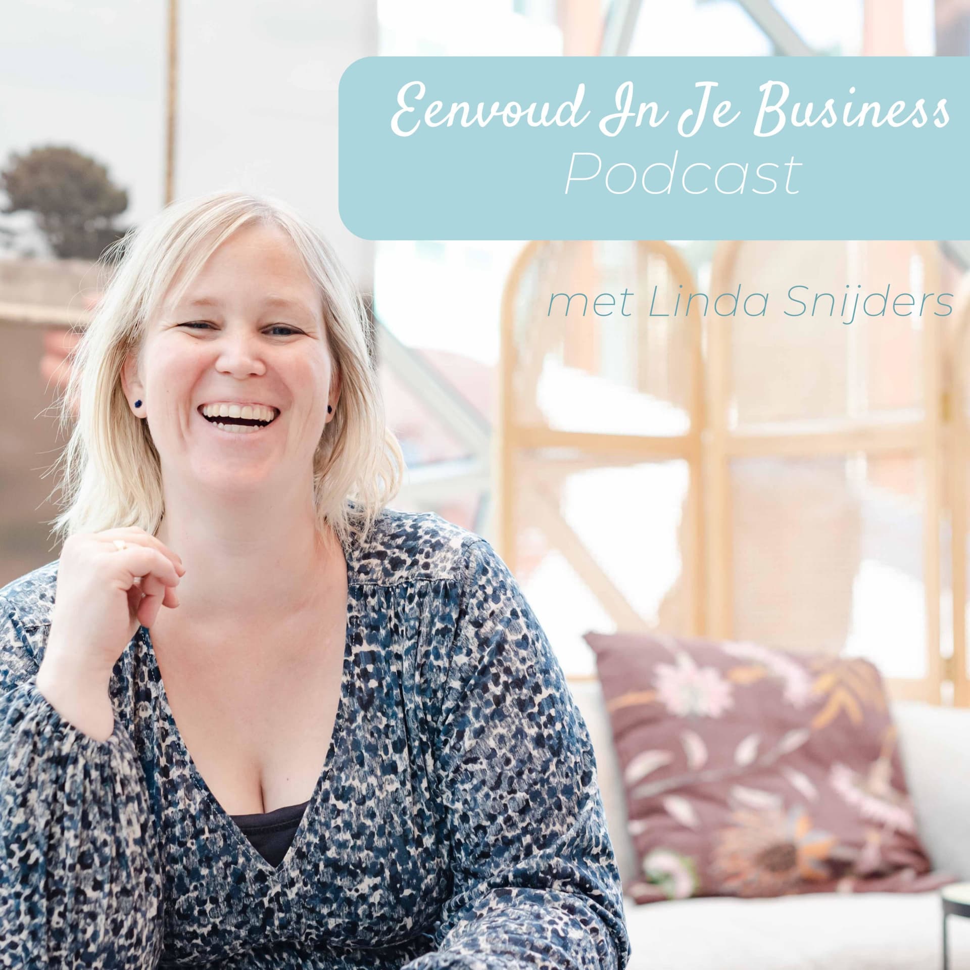 Eenvoud In Je Business Podcast - Podcasts