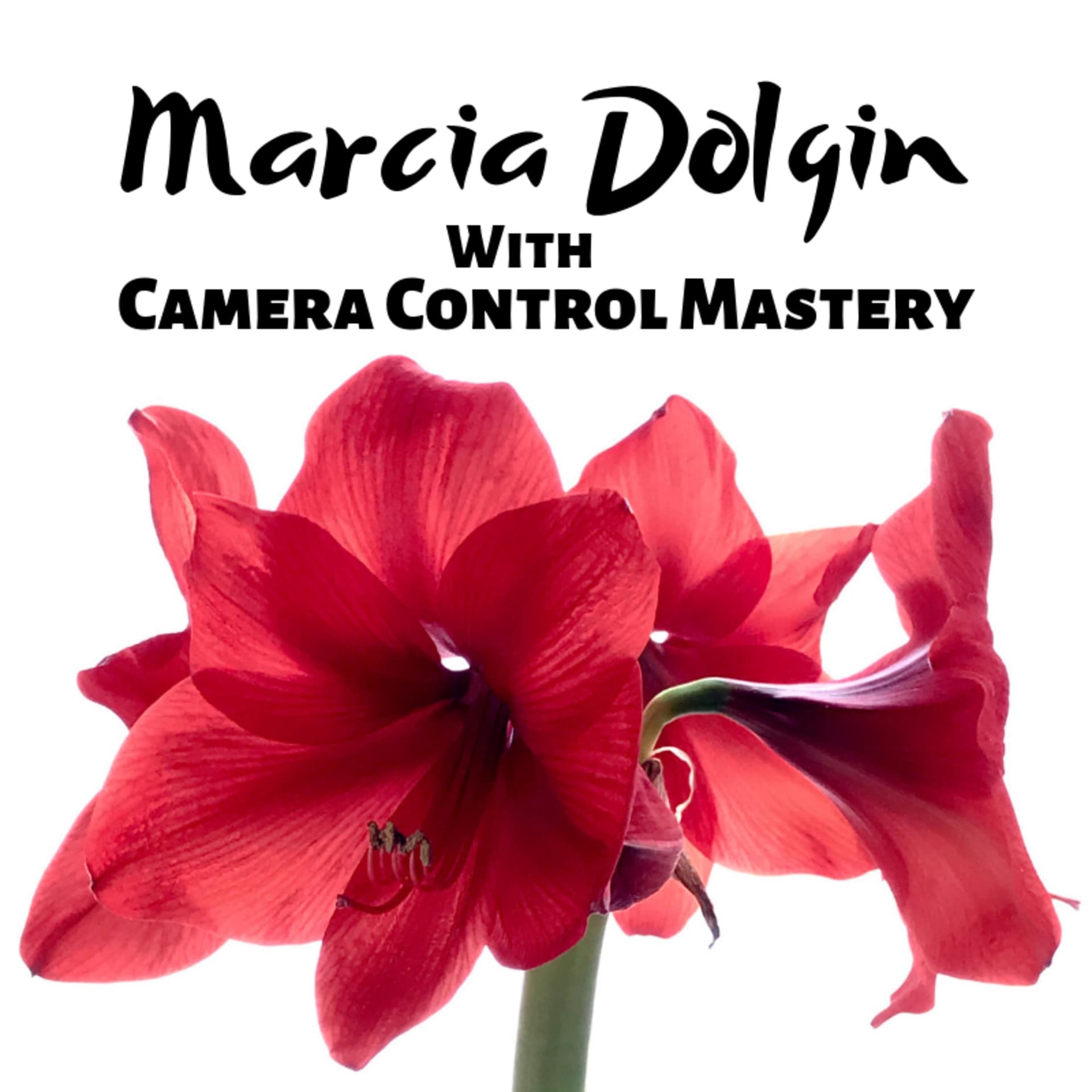 Marcia Dolgin with Camera Control Mastery - Podcasts