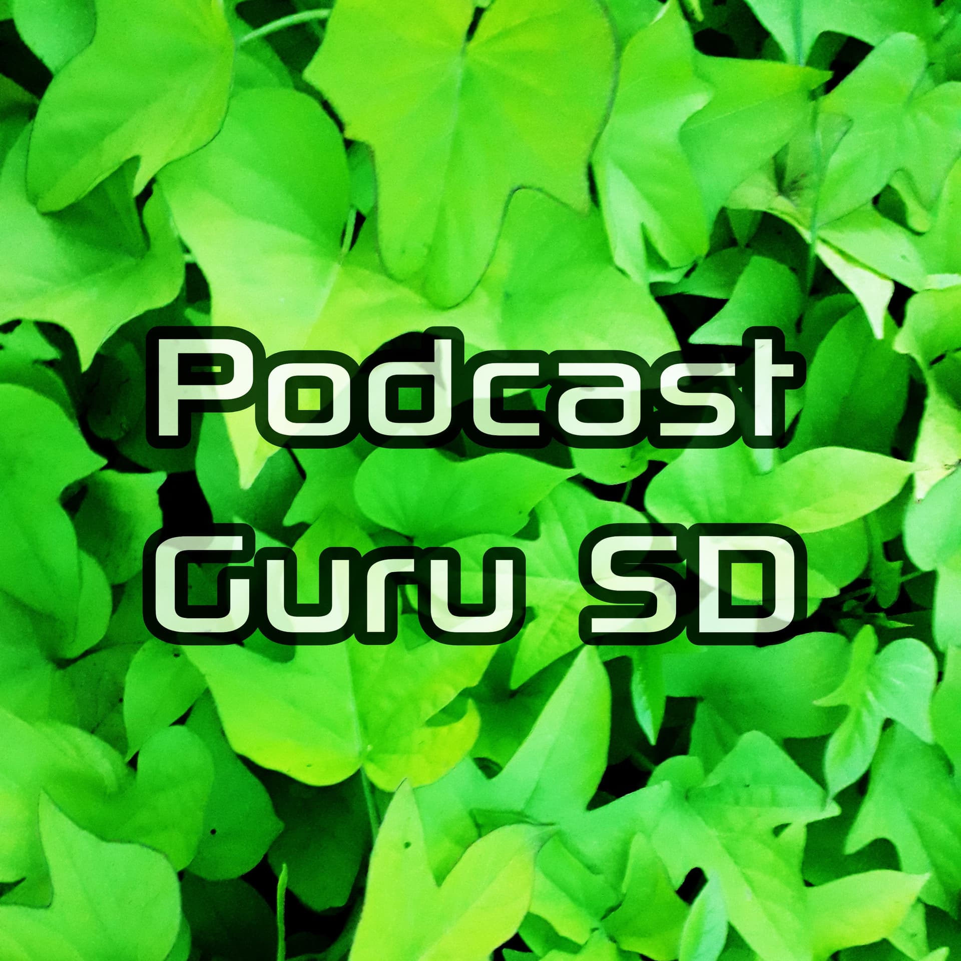 Podcast Guru SD - Podcasts