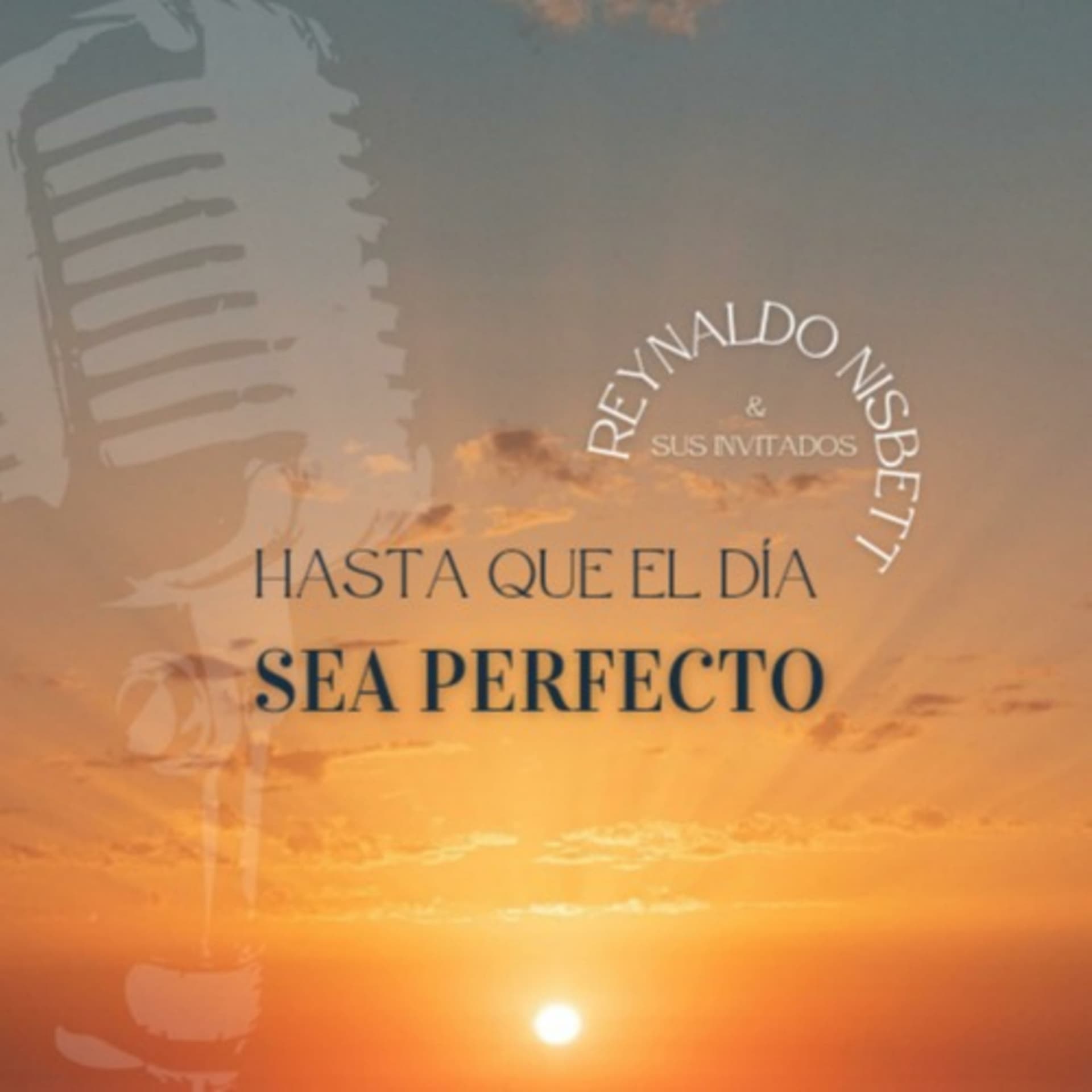 HASTA QUE EL DIA SEA PERFECTO - Podcasts