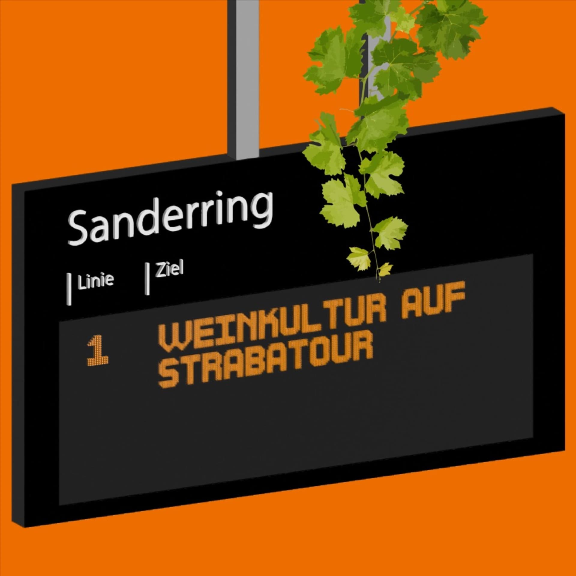 Weinkultur auf Strabatour