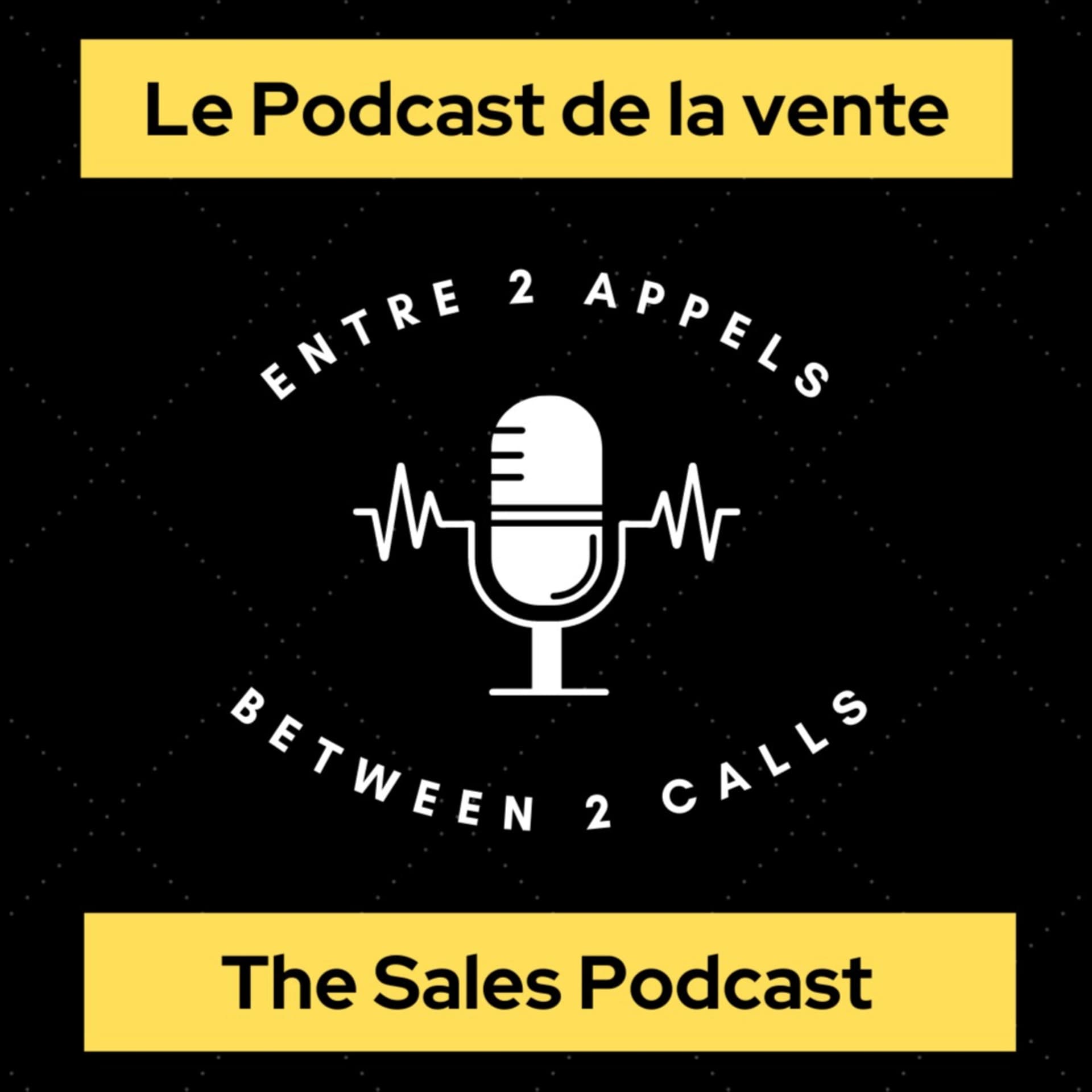 Le Podcast de la Vente - The Sales Podcast - Podcasts