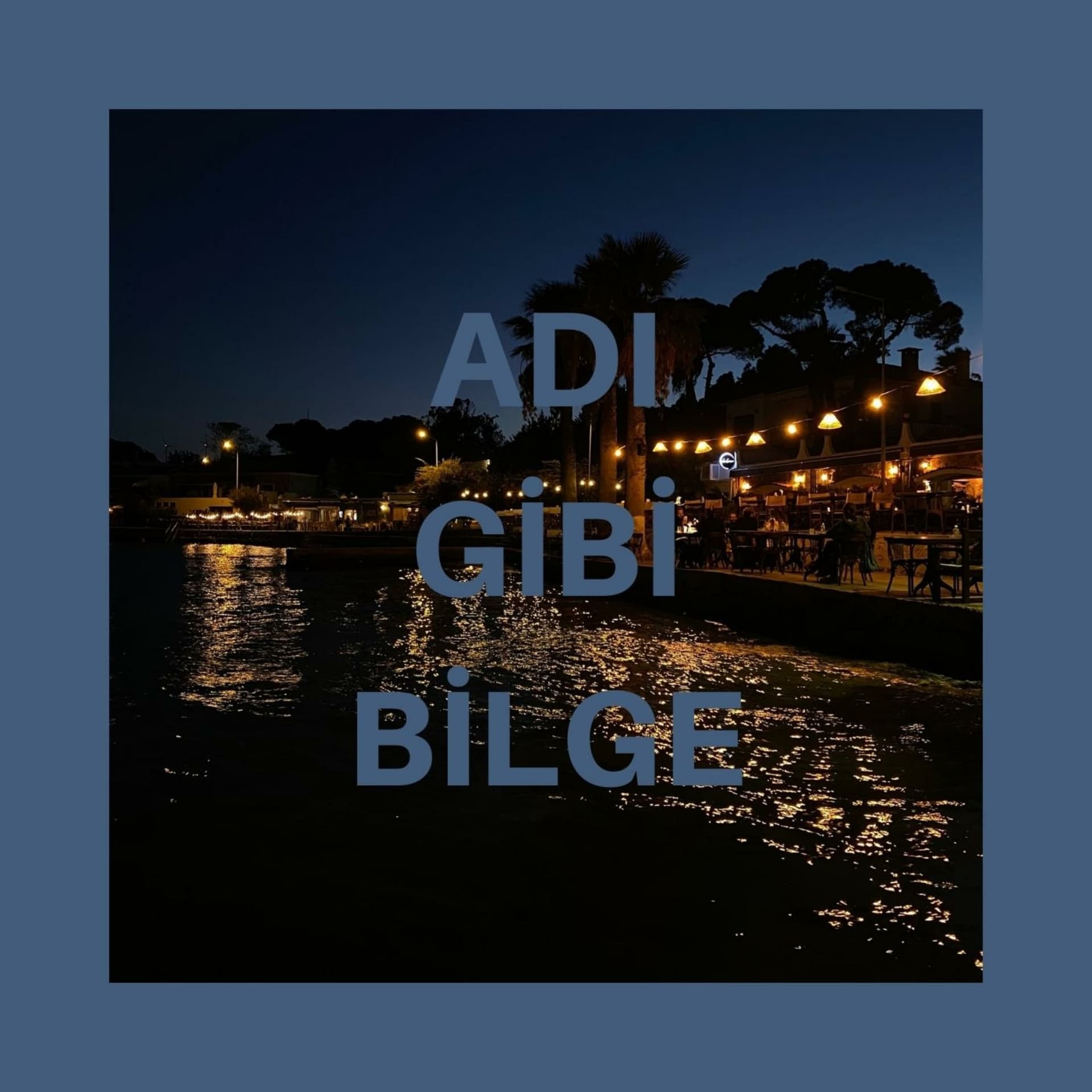 Adı Gibi Bilge