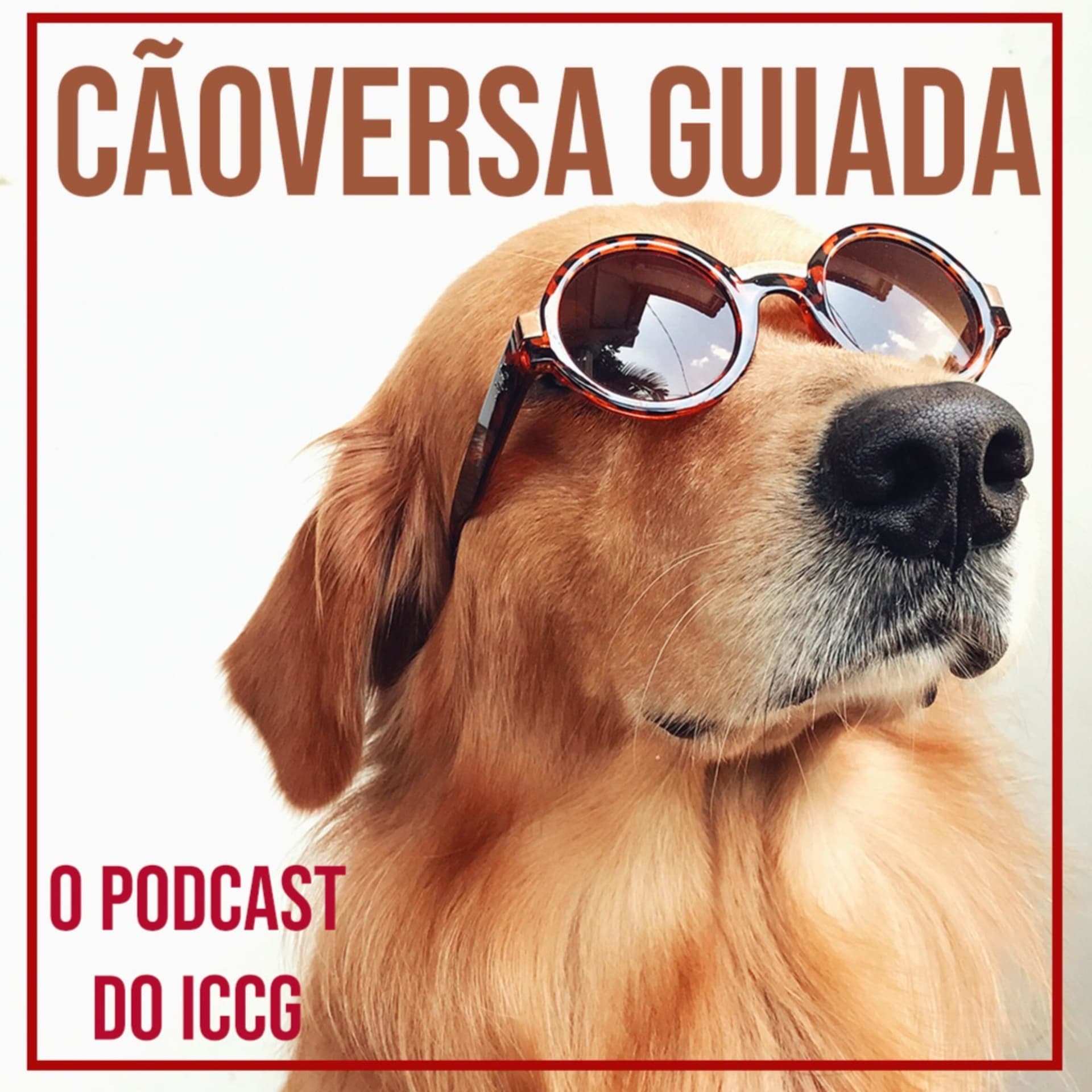 Cãoversa Guiada - Podcasts