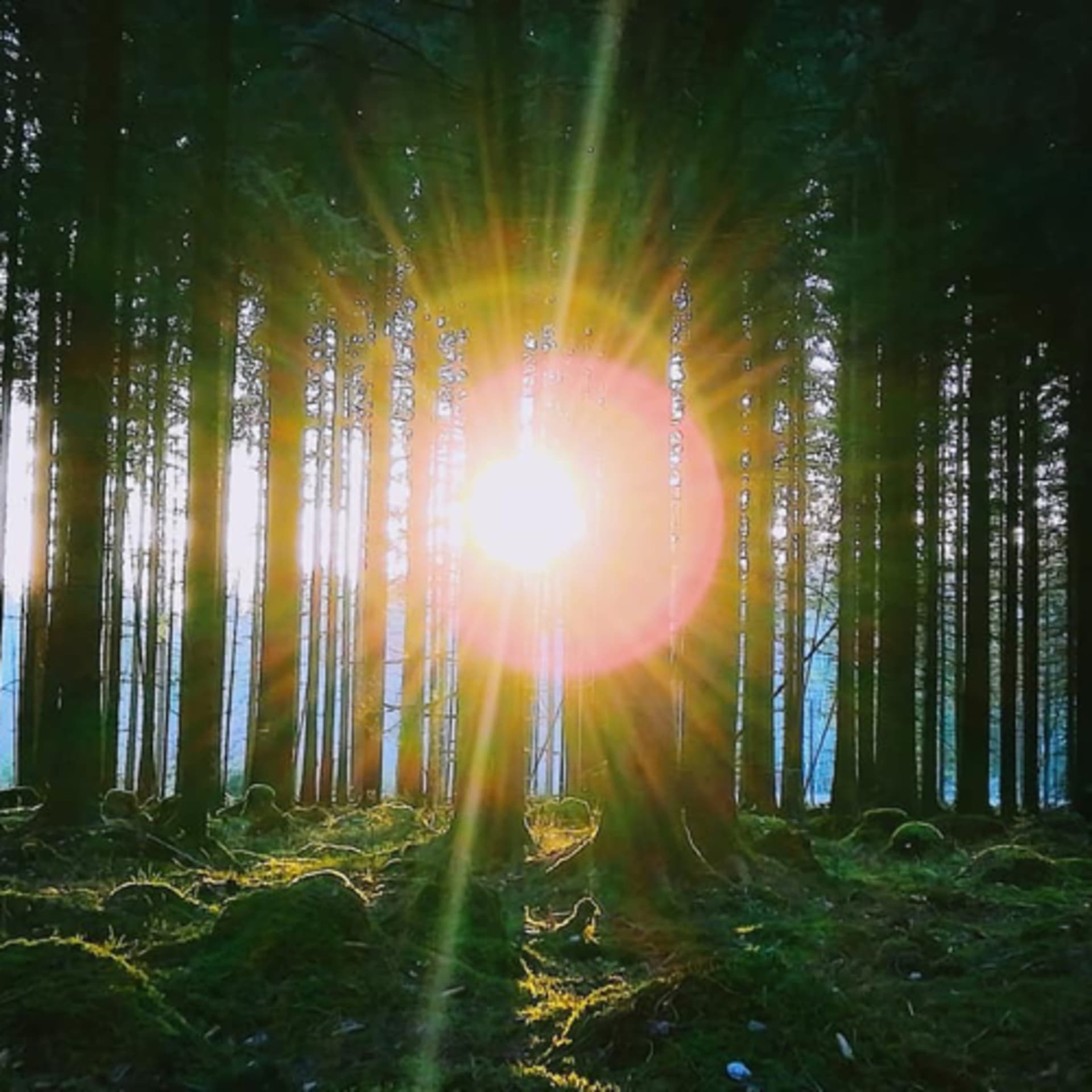 Die Reise zu Dir selbst!