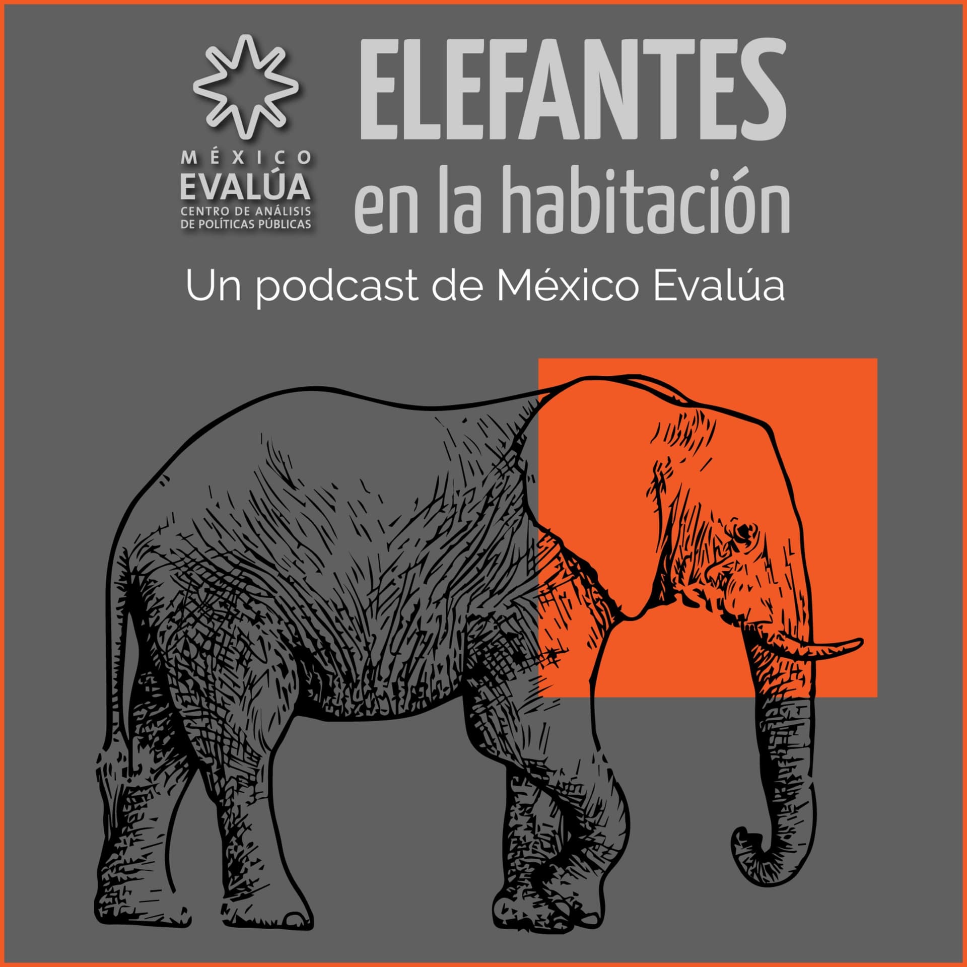 Elefantes en la habitación - Podcasts