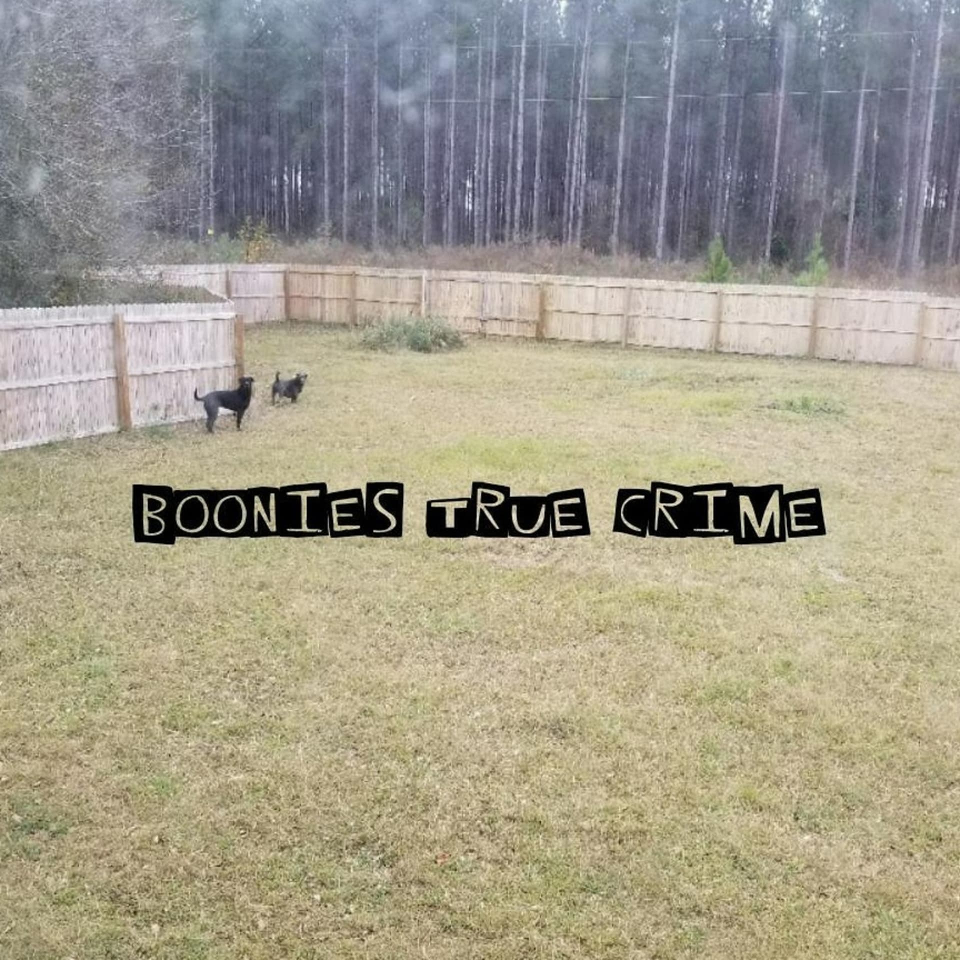 Boonies True Crime - Podcasts