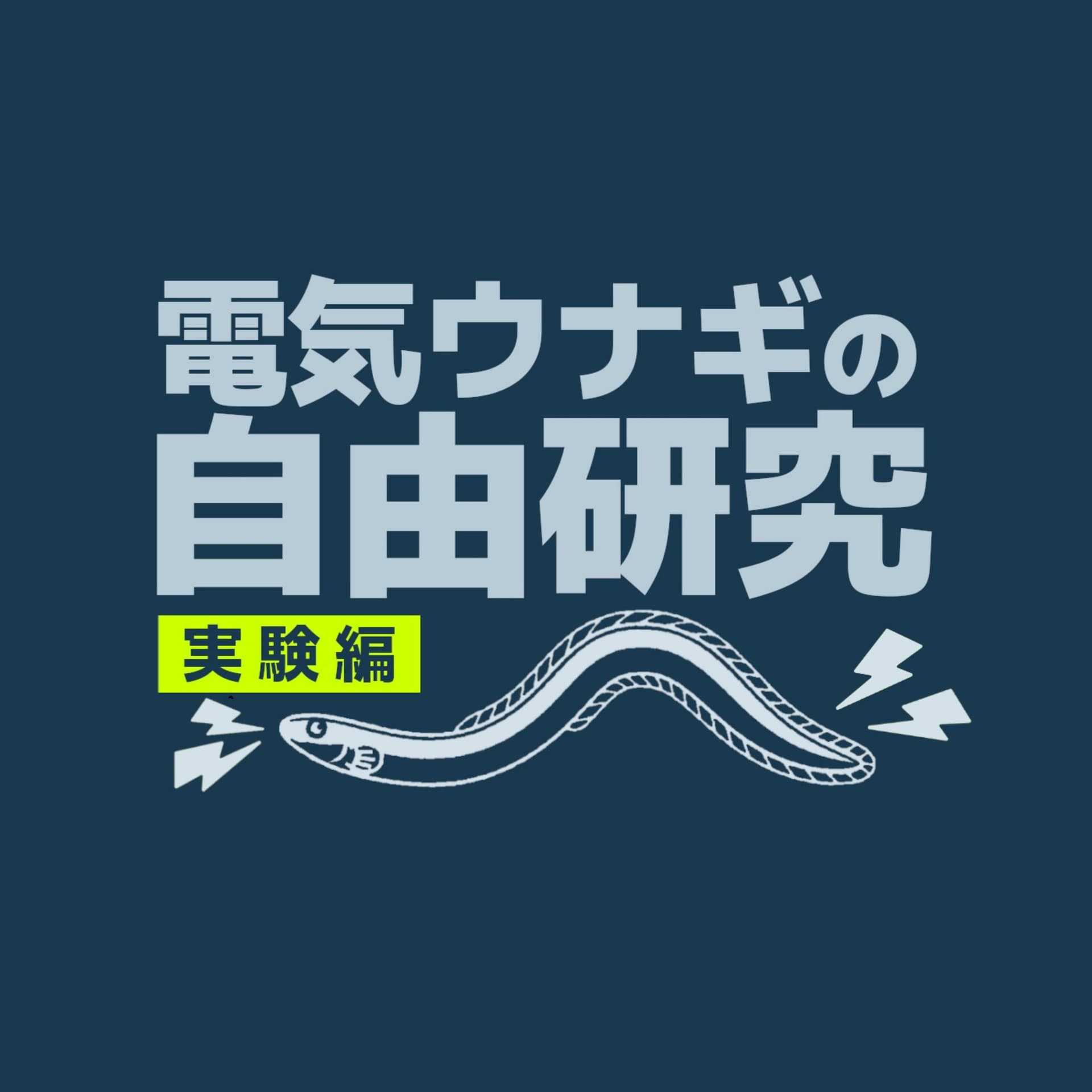 電気ウナギの自由研究