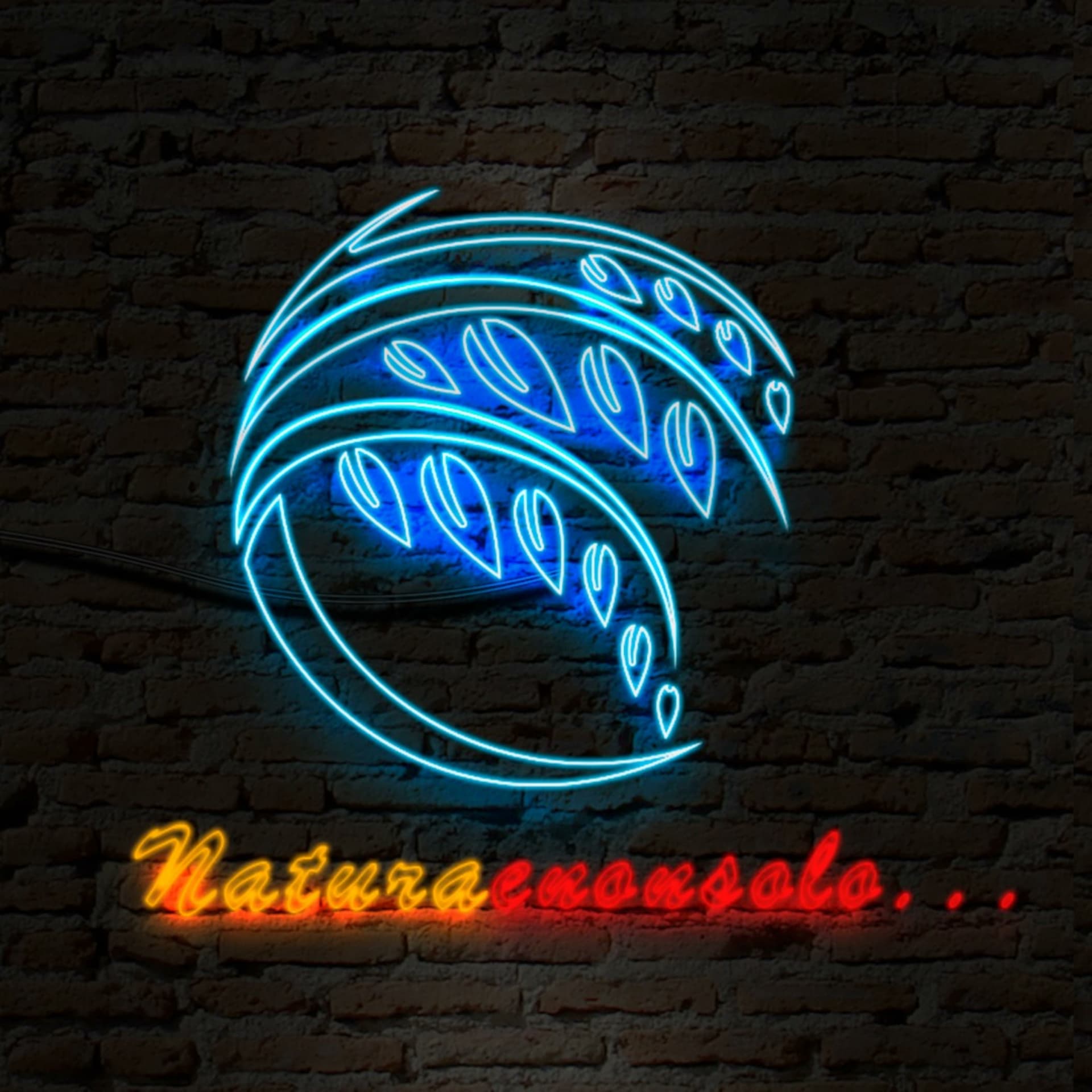 Naturaenonsolo - Podcasts