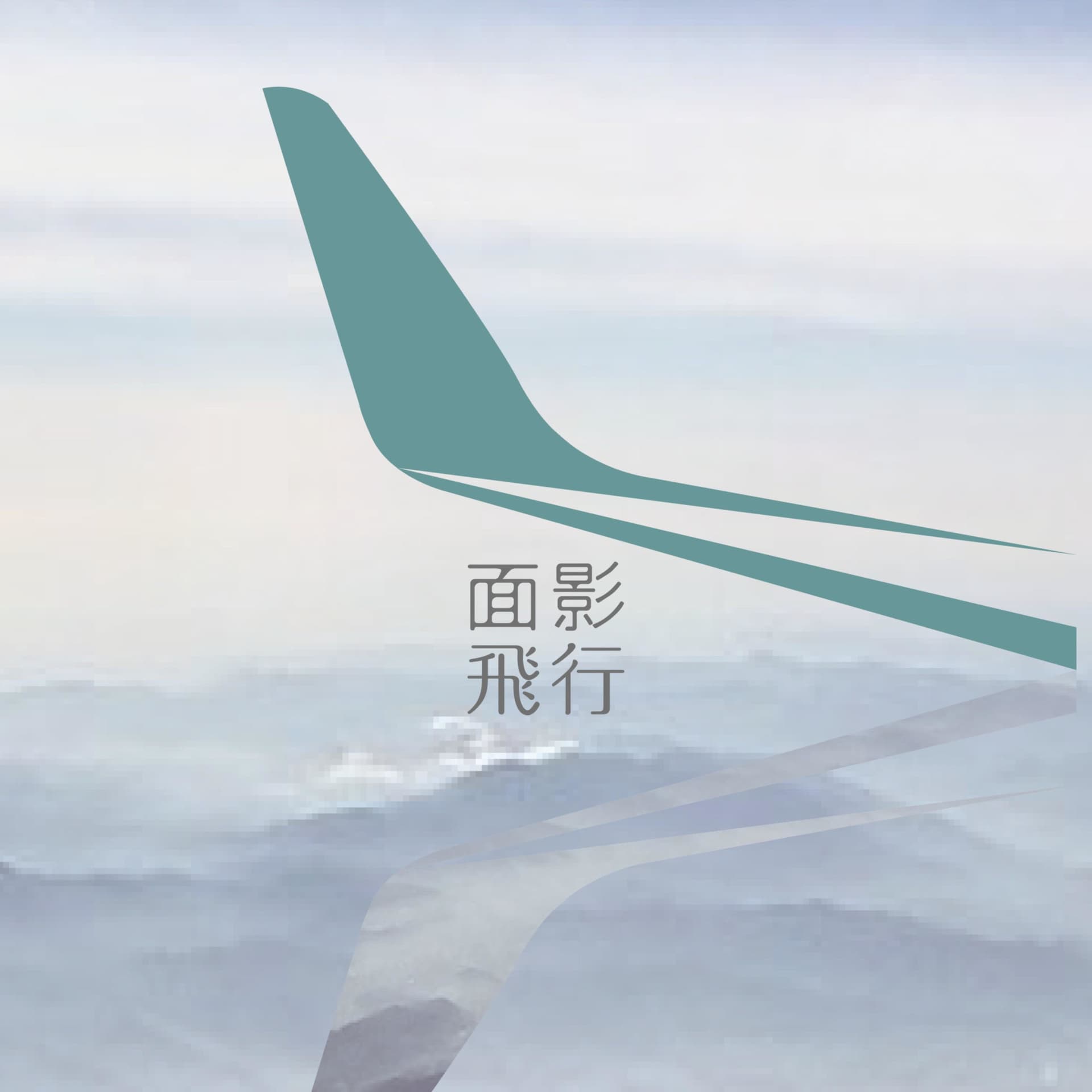 面影飛行