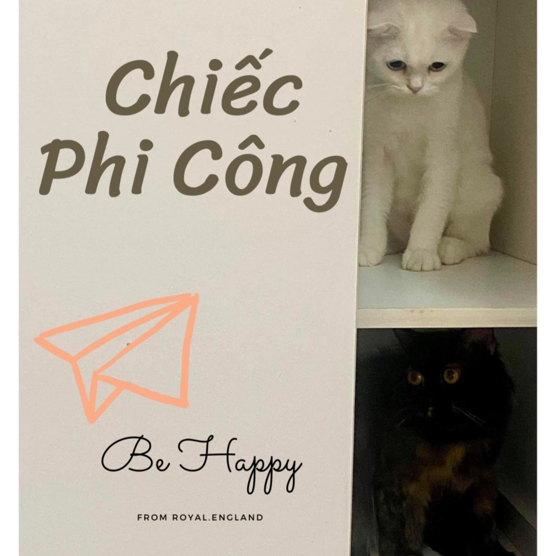 Chiếc Phi công - Podcasts