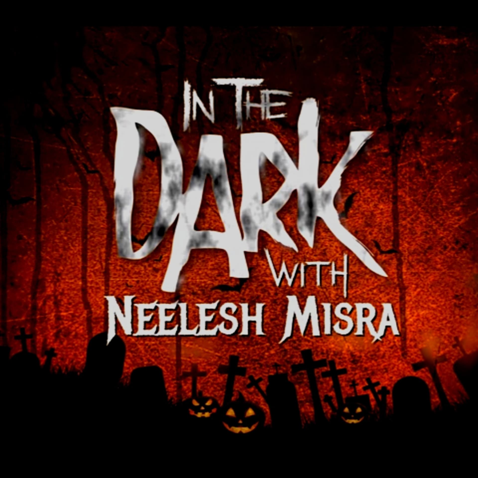IN THE DARK WITH NEELESH MISRA - Podcasts