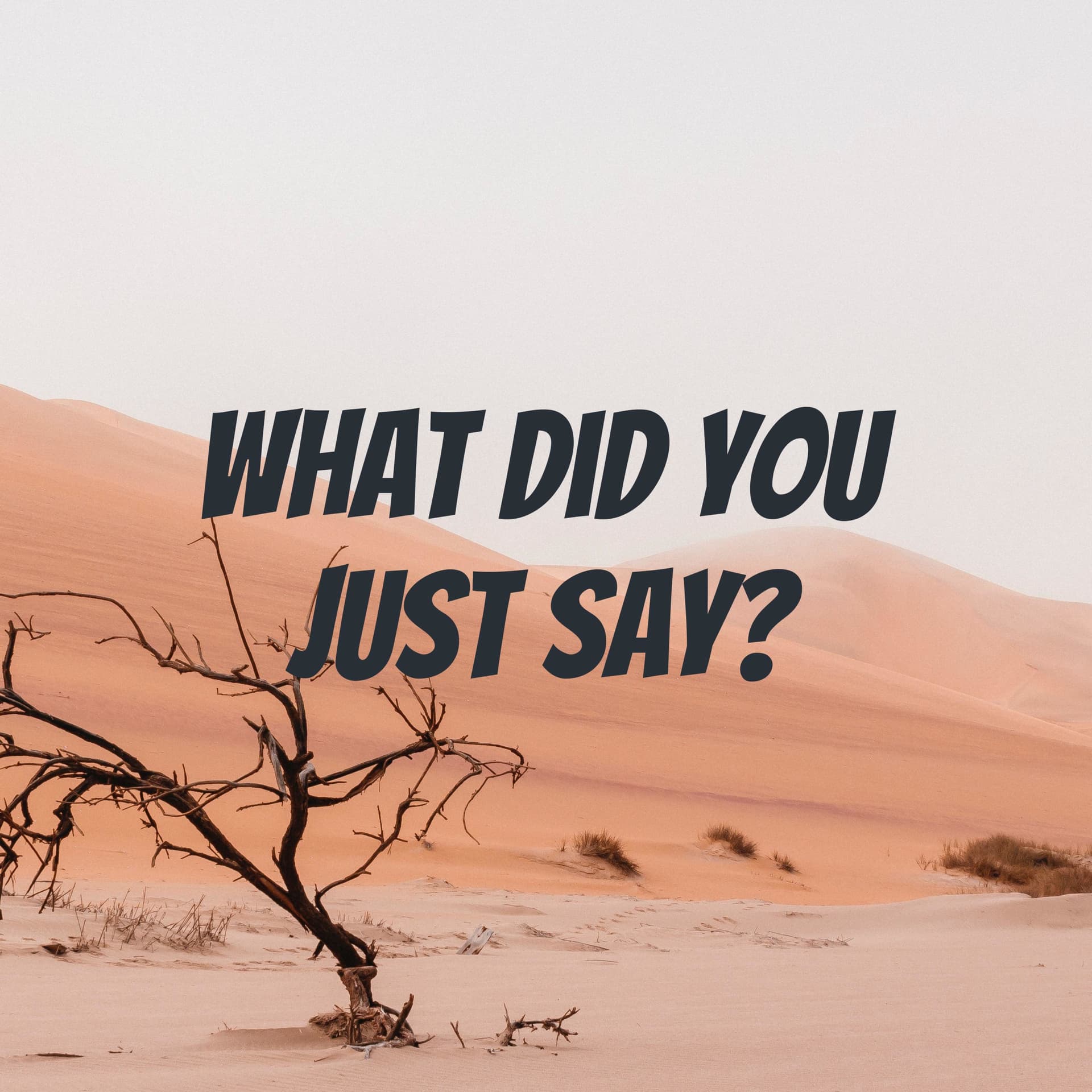 What Did You Just Say?