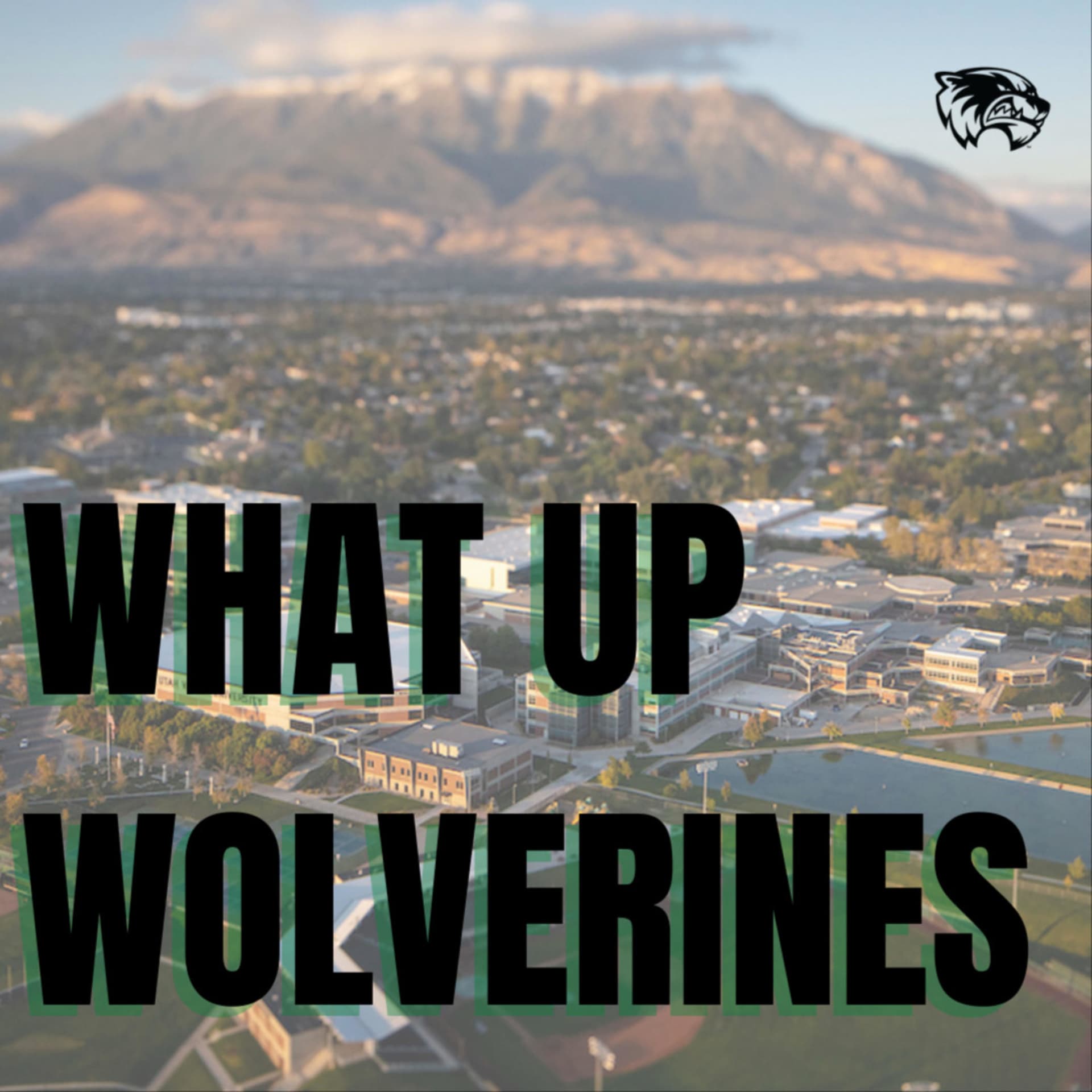What up Wolverines! - Podcasts