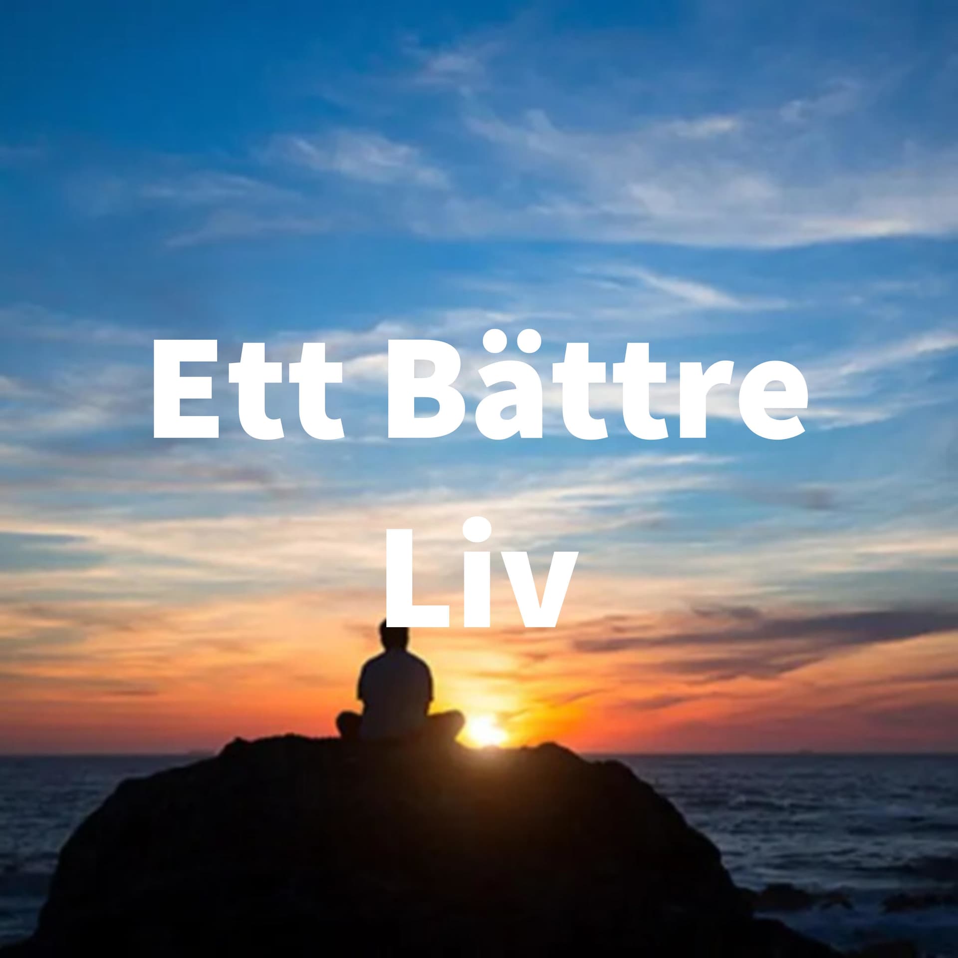 Ett Bättre Liv - Podcasts