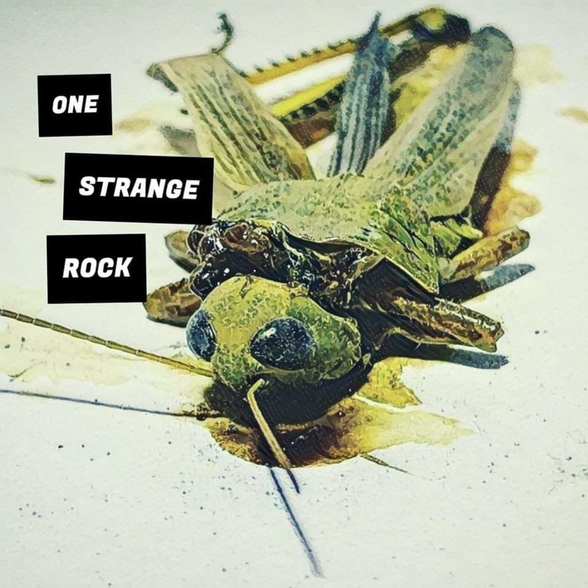 One Strange Rock - Podcasts