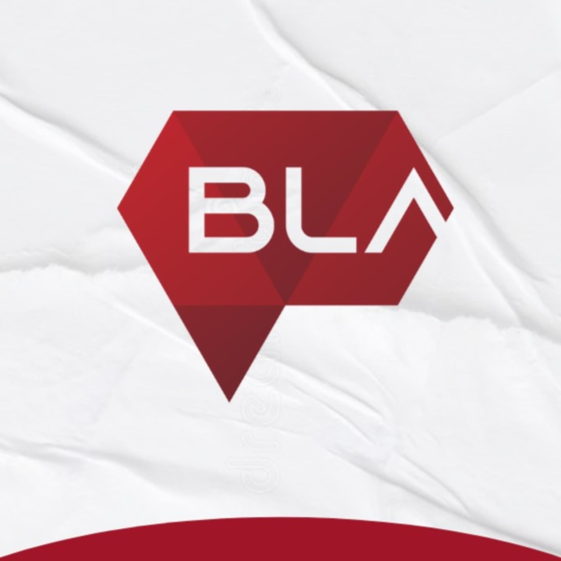 Blassets