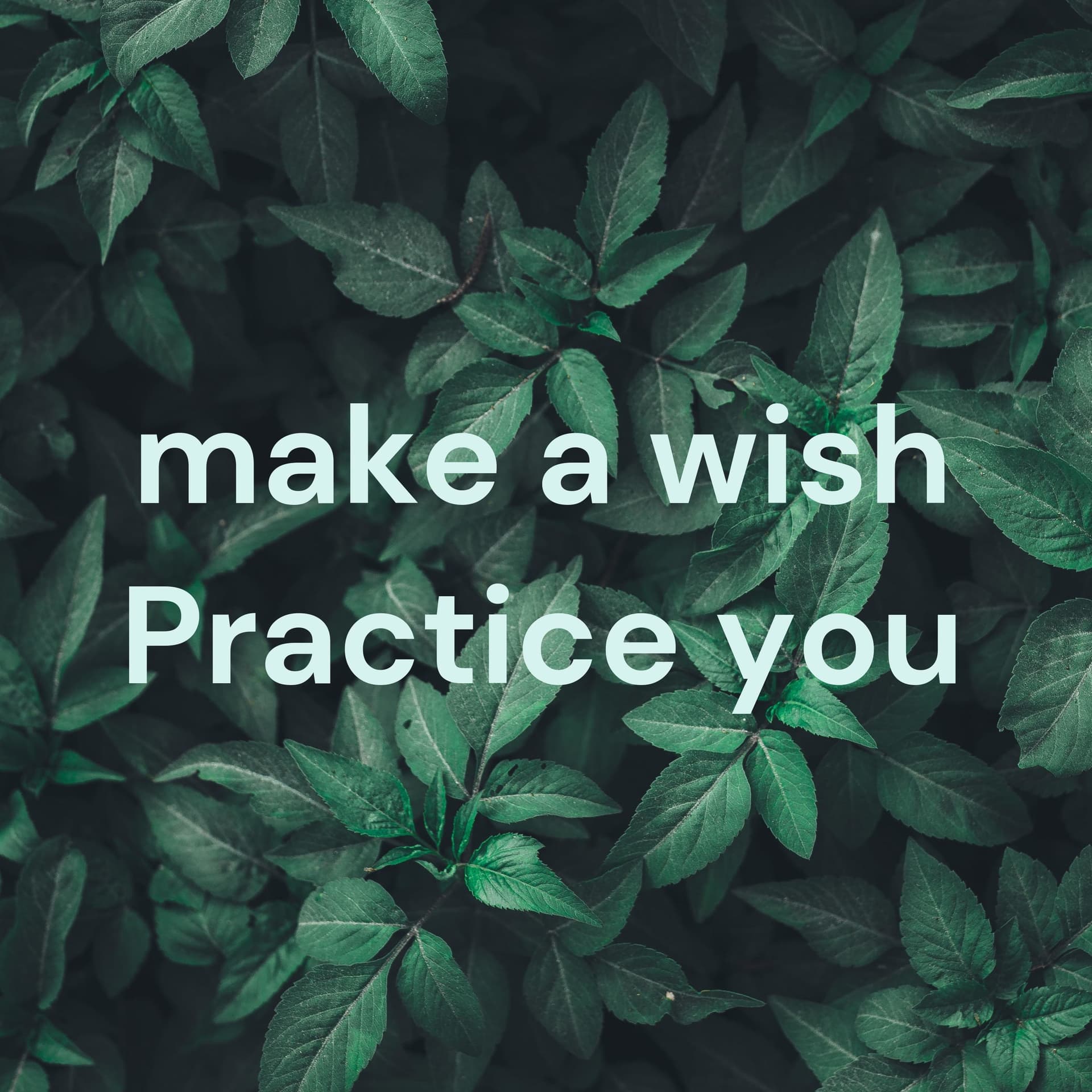 *make a wish & Blooming Heart - Podcasts