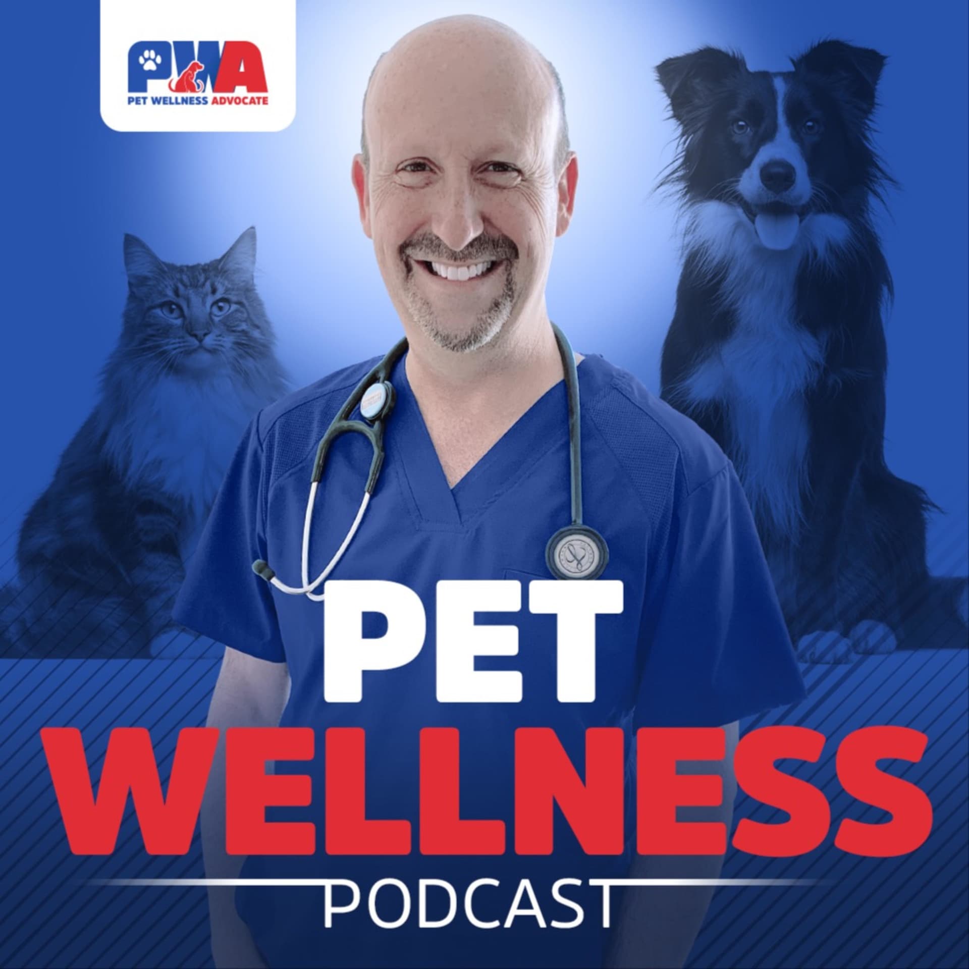 Pet Wellness Podcast - Podcasts