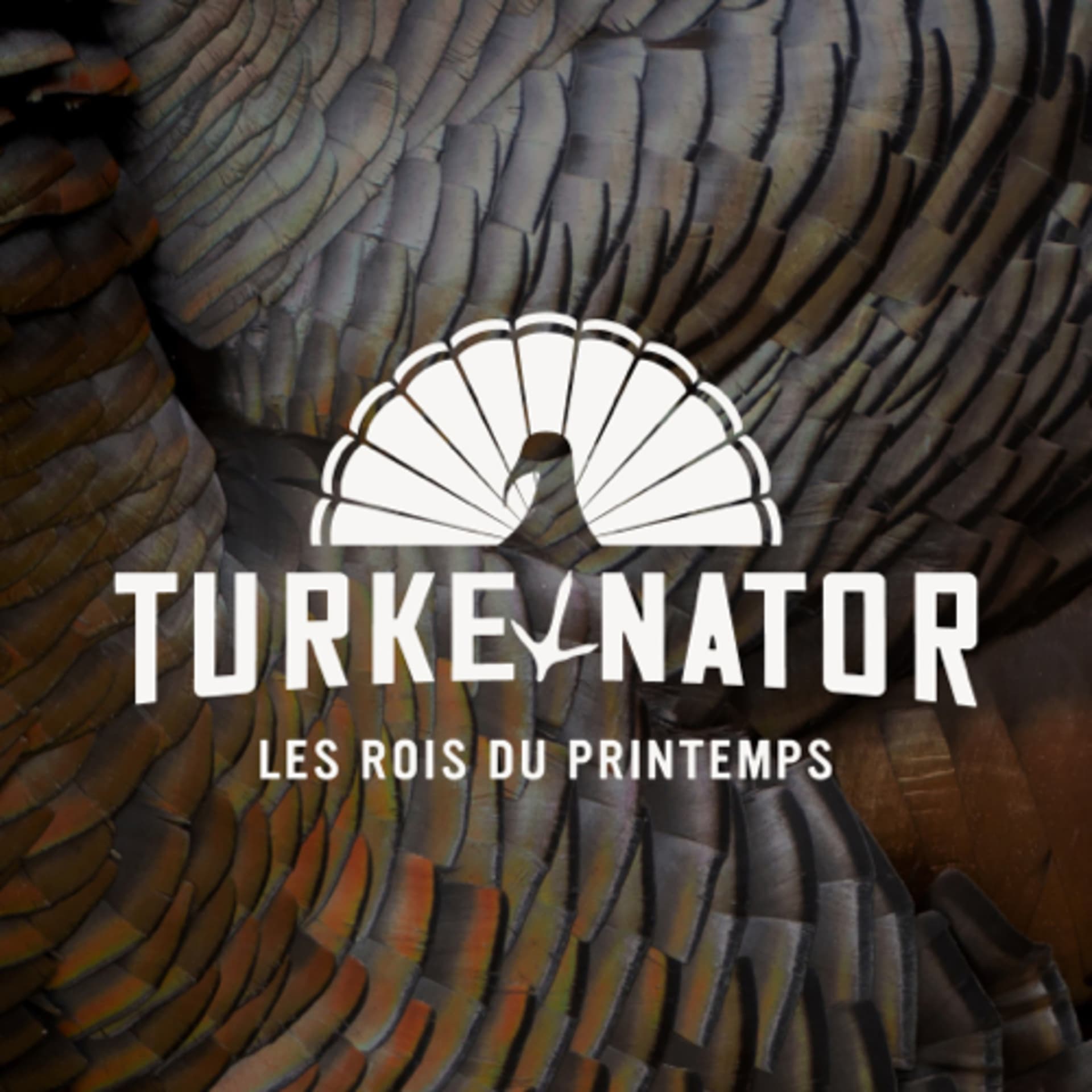 Turkeynator - Podcasts
