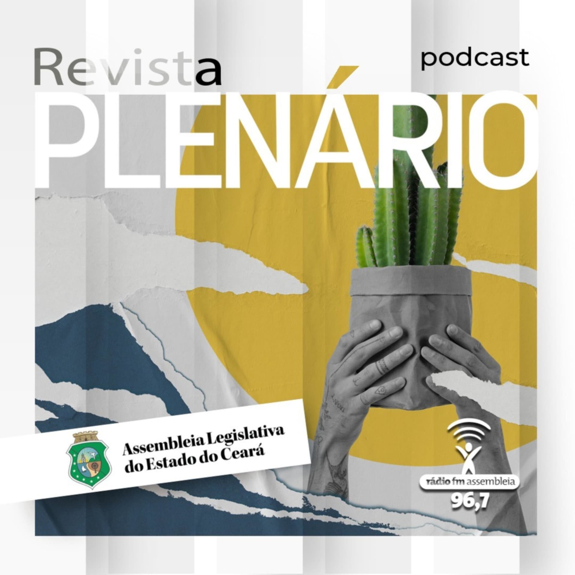 Podcast Revista Plenário - Podcasts