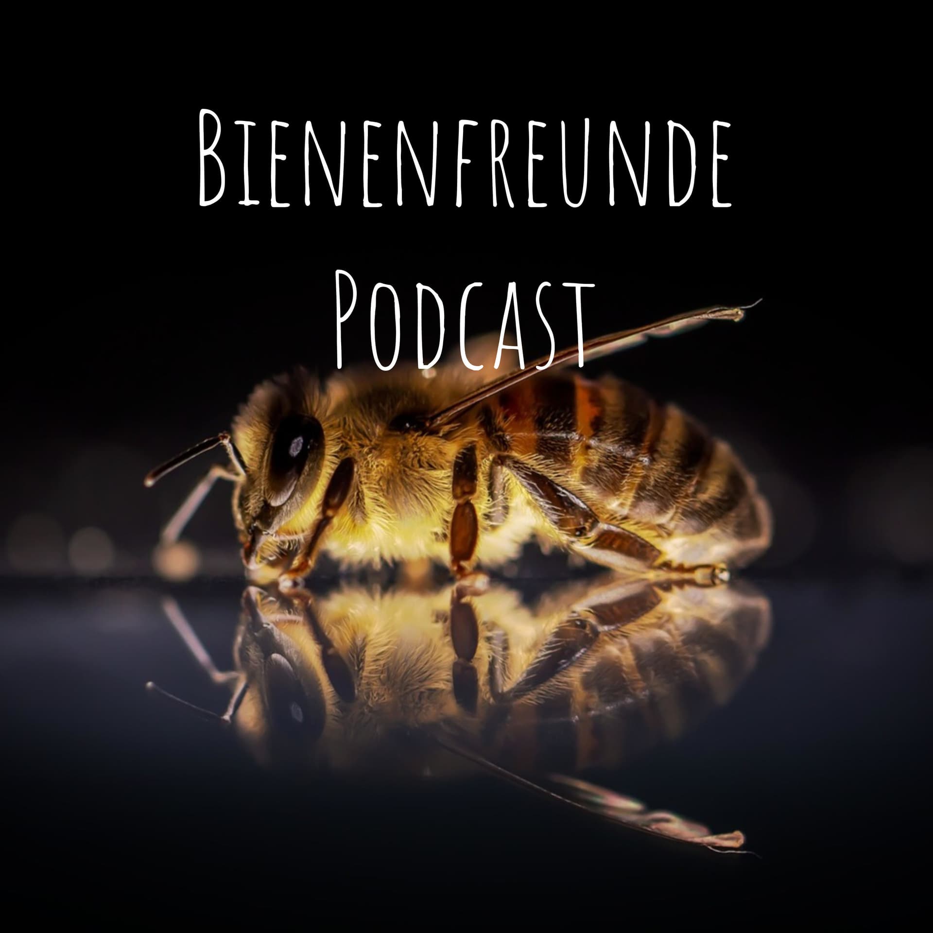 Bienenfreunde Podcast