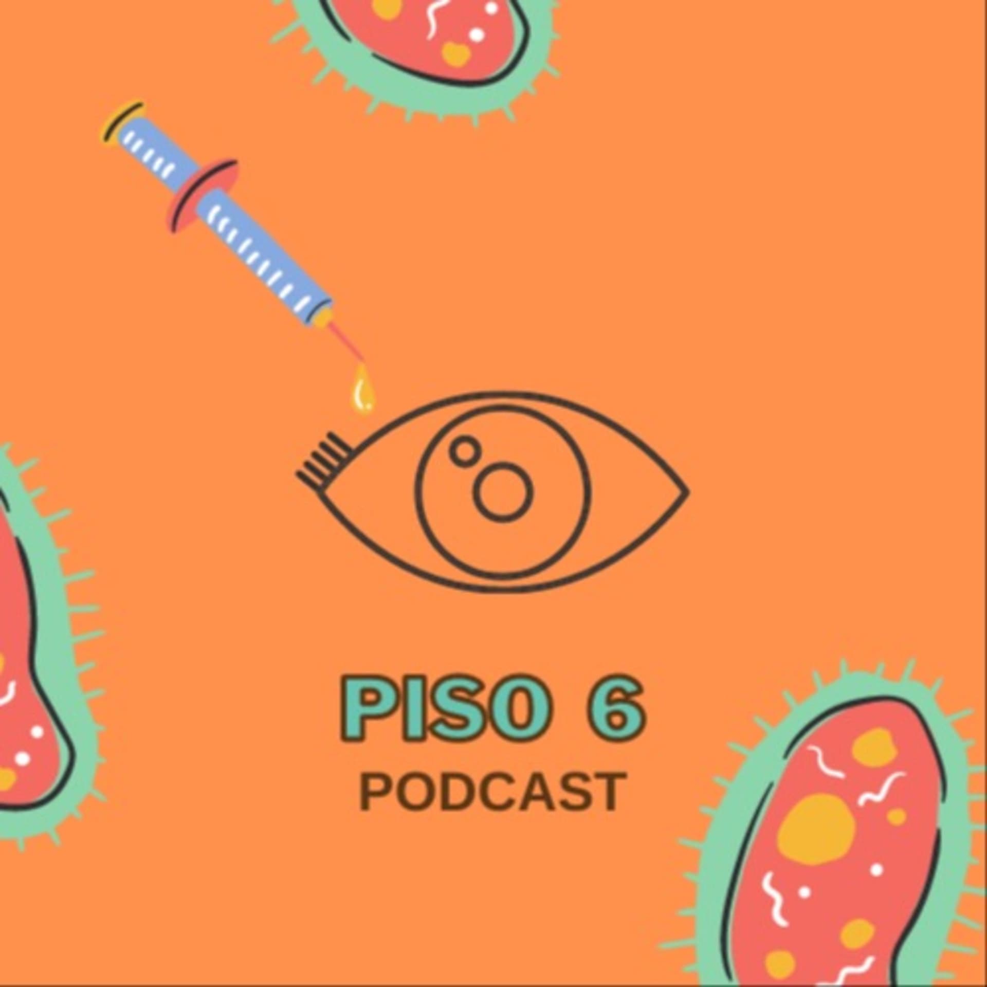 Piso 6