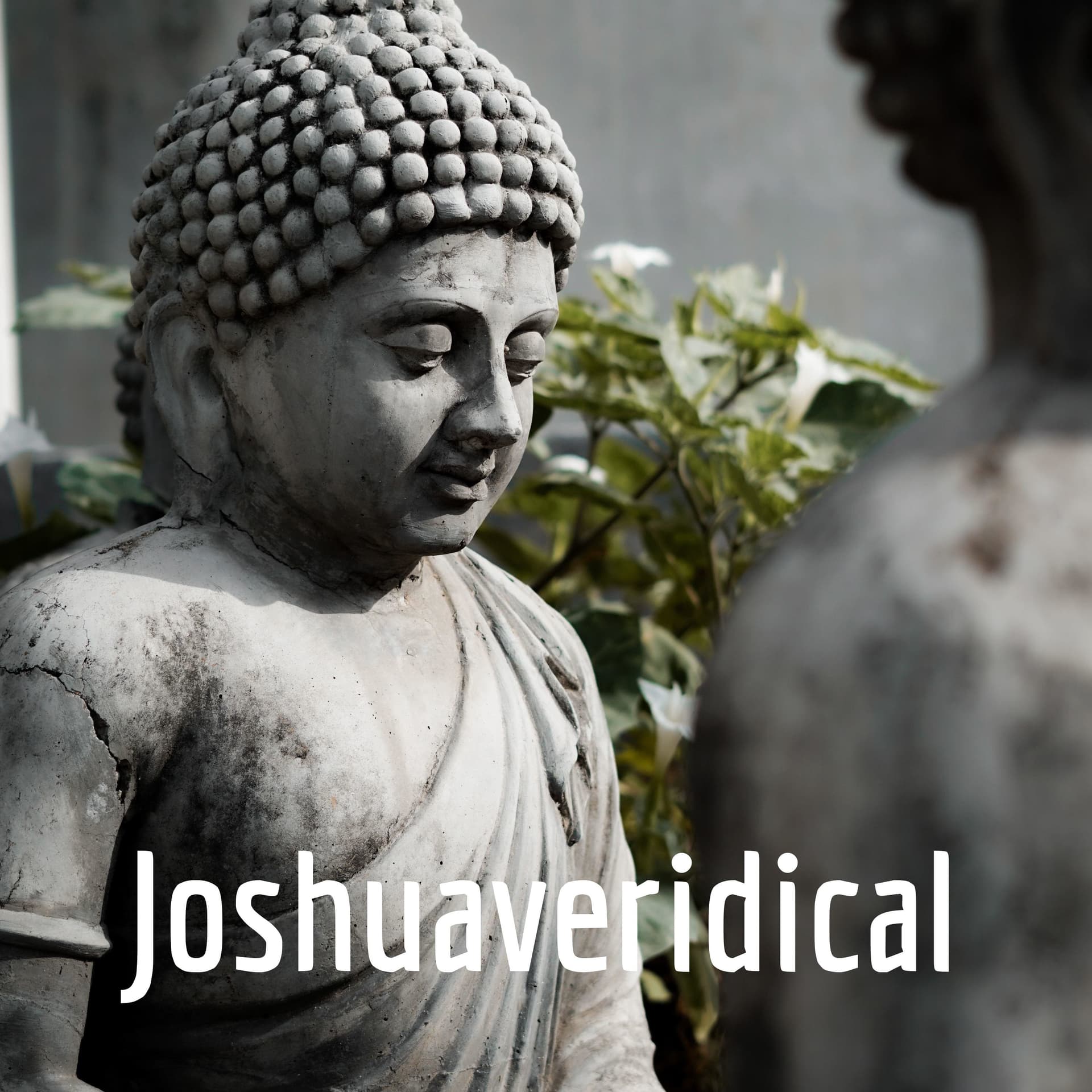 Joshuaveridical