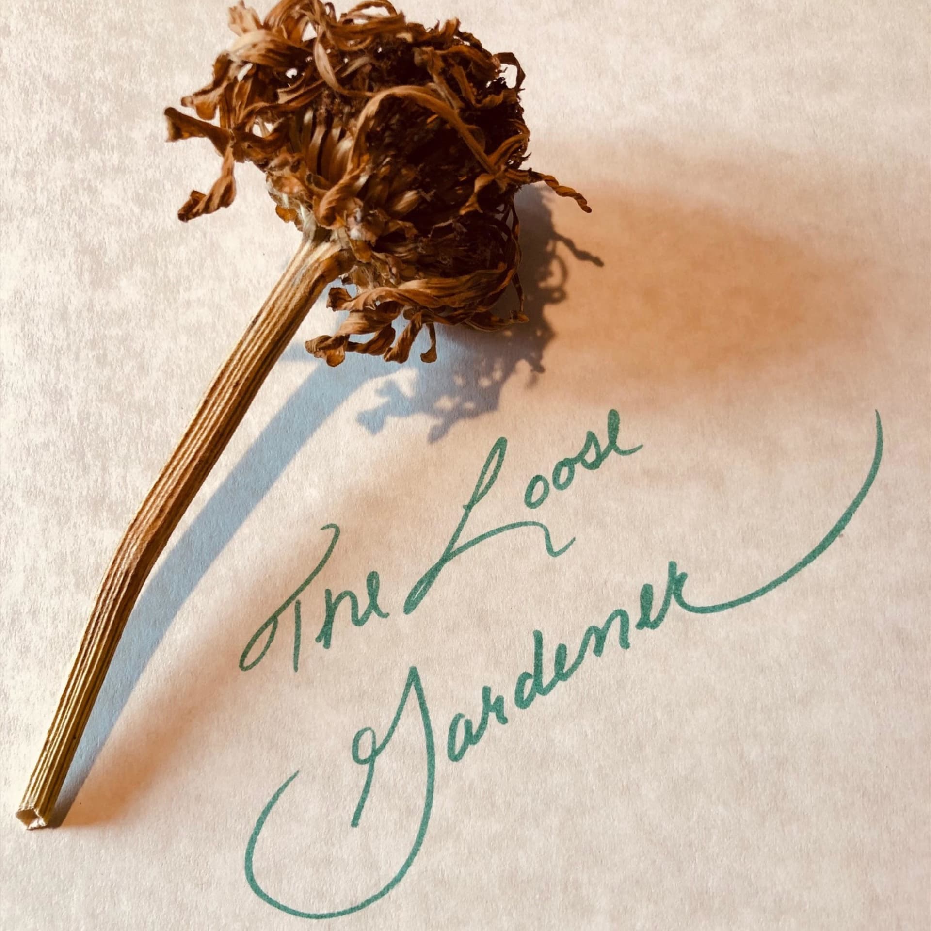 The Loose Gardener - Podcasts