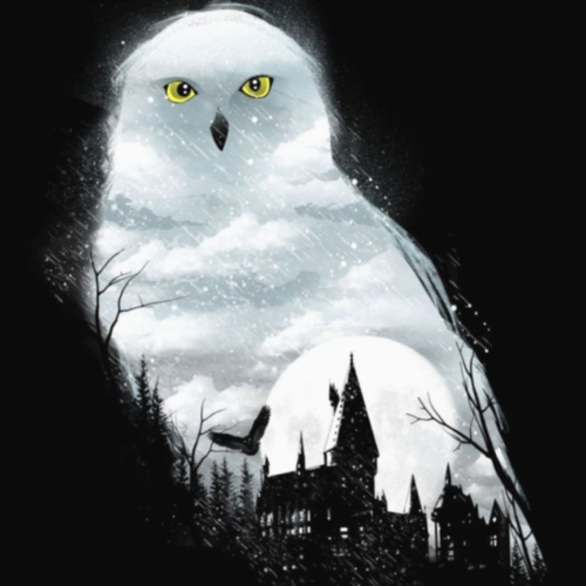 Harry Potter Fan Podcast - Podcasts