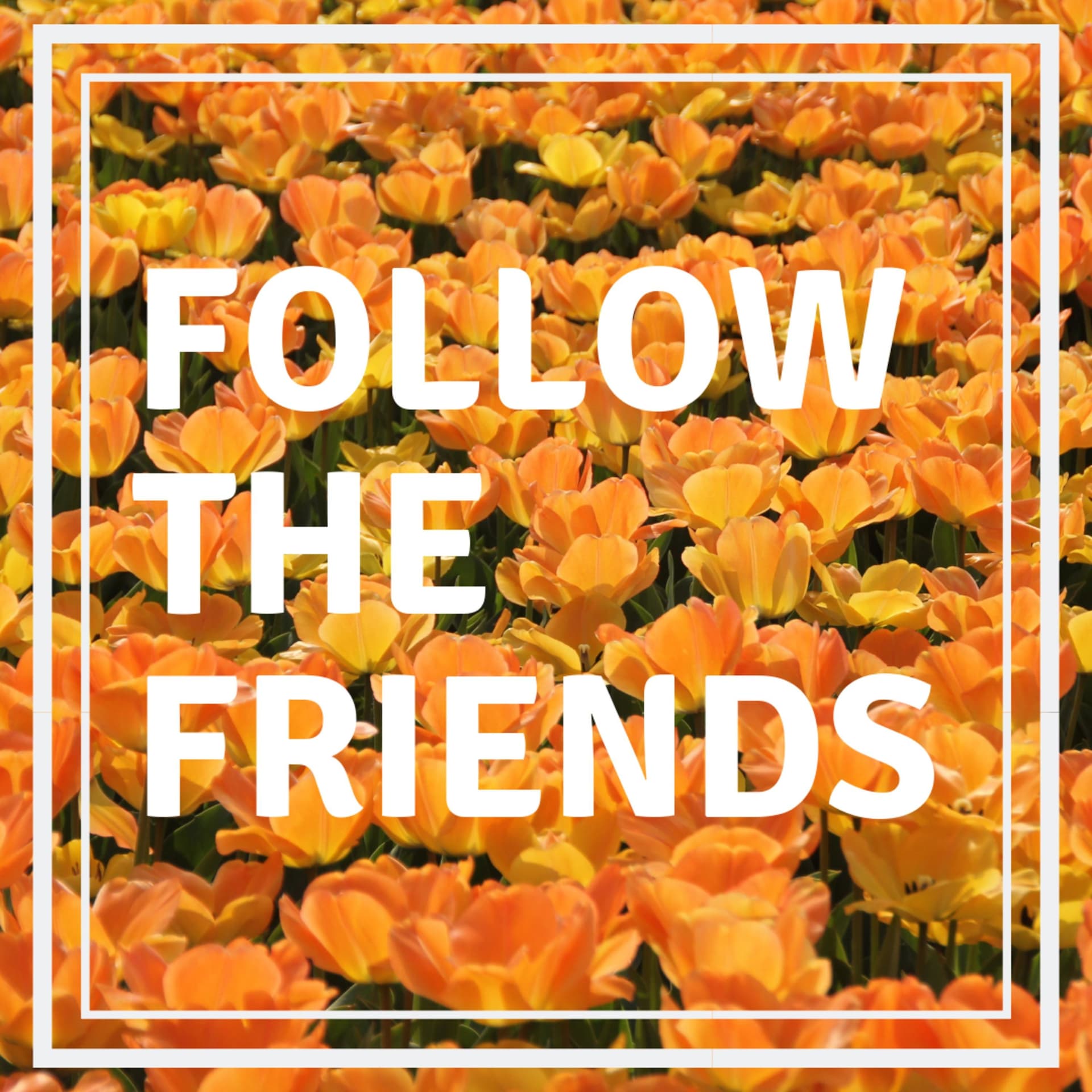 Follow The Friends - Podcasts