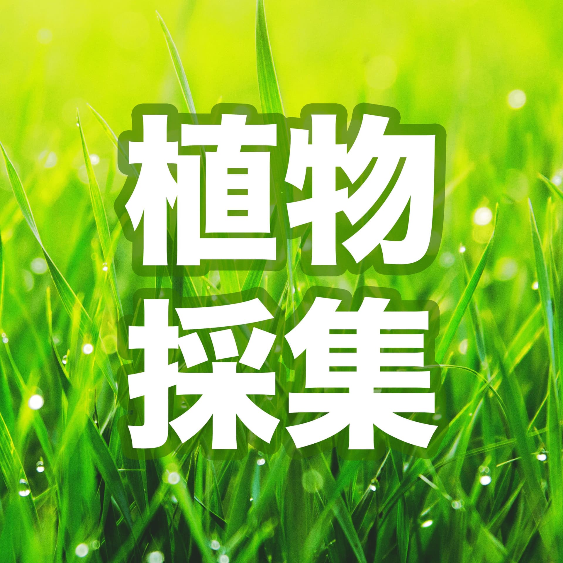 植物採集 - 街を歩いて草花の声を聴く - Podcasts
