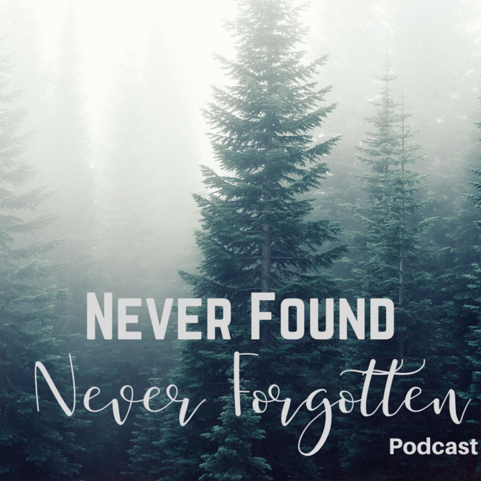 Never Found Never Forgotten - Podcasts