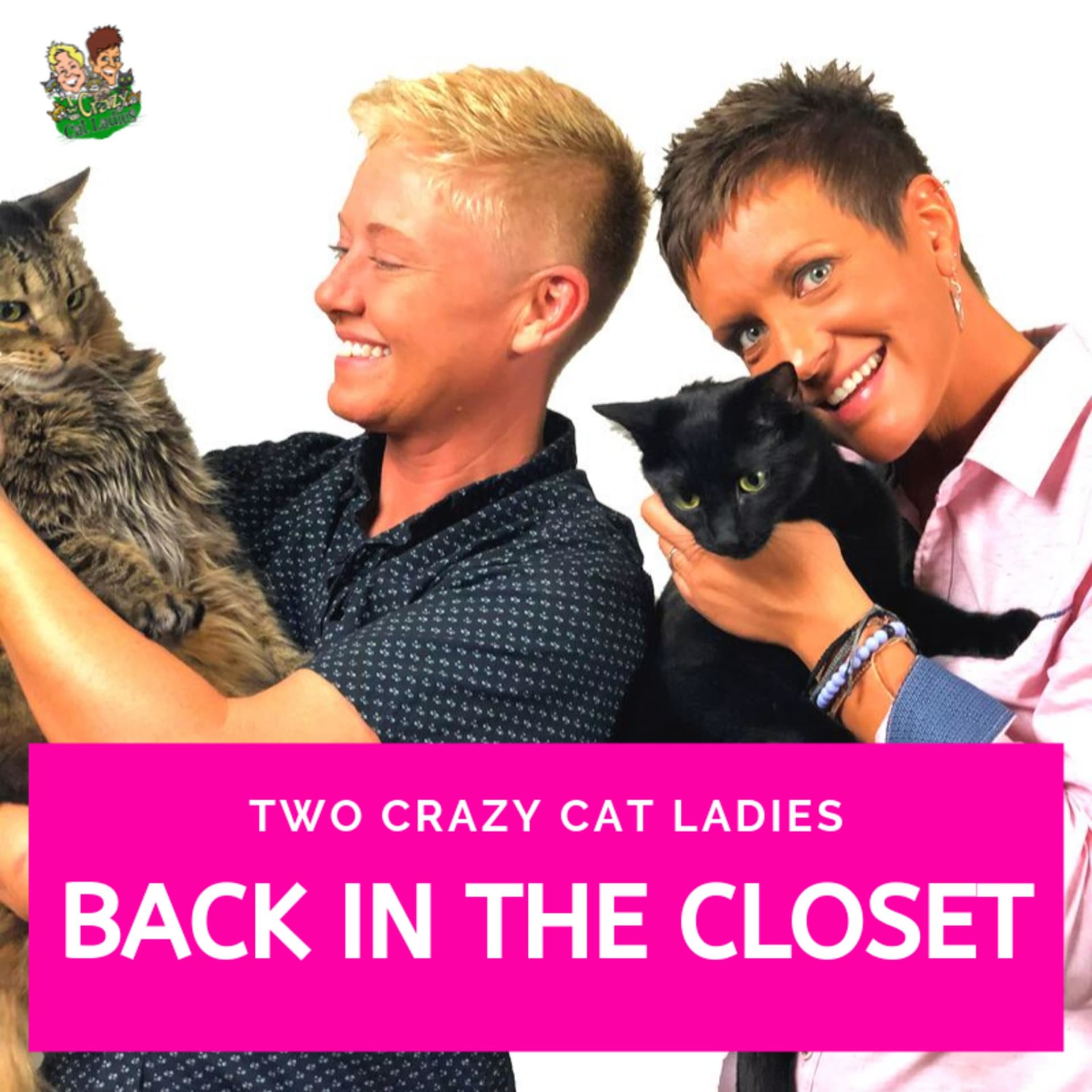 Back In The Closet - Two Crazy Cat Ladies - Podcasts