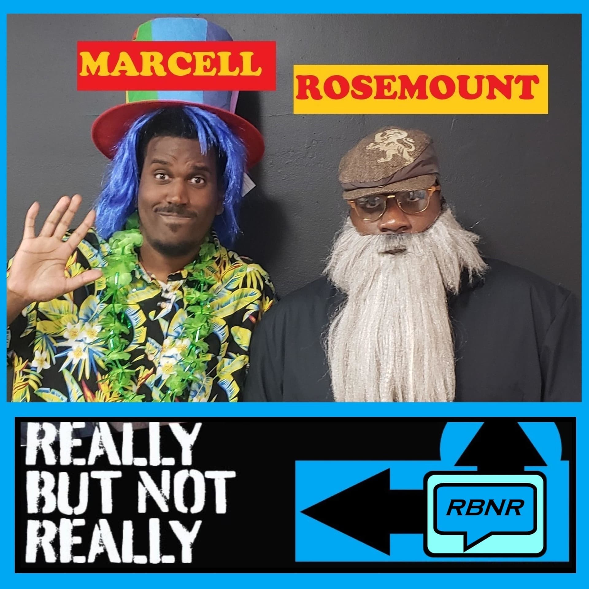 RBNR Show (The Really But Not Really Show) - Podcasts