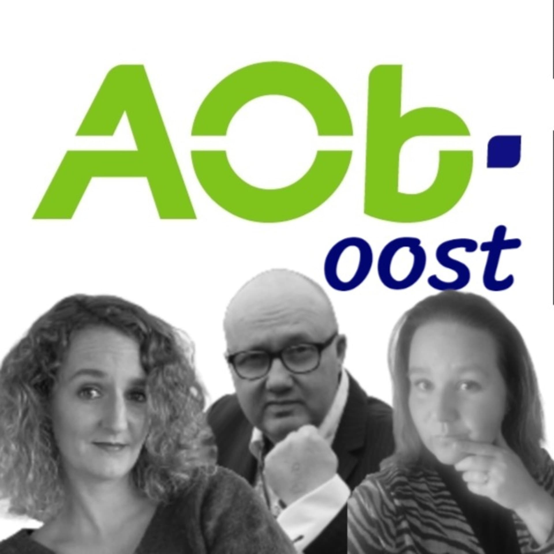 AOb Oost Onderwijsnieuws - Podcasts