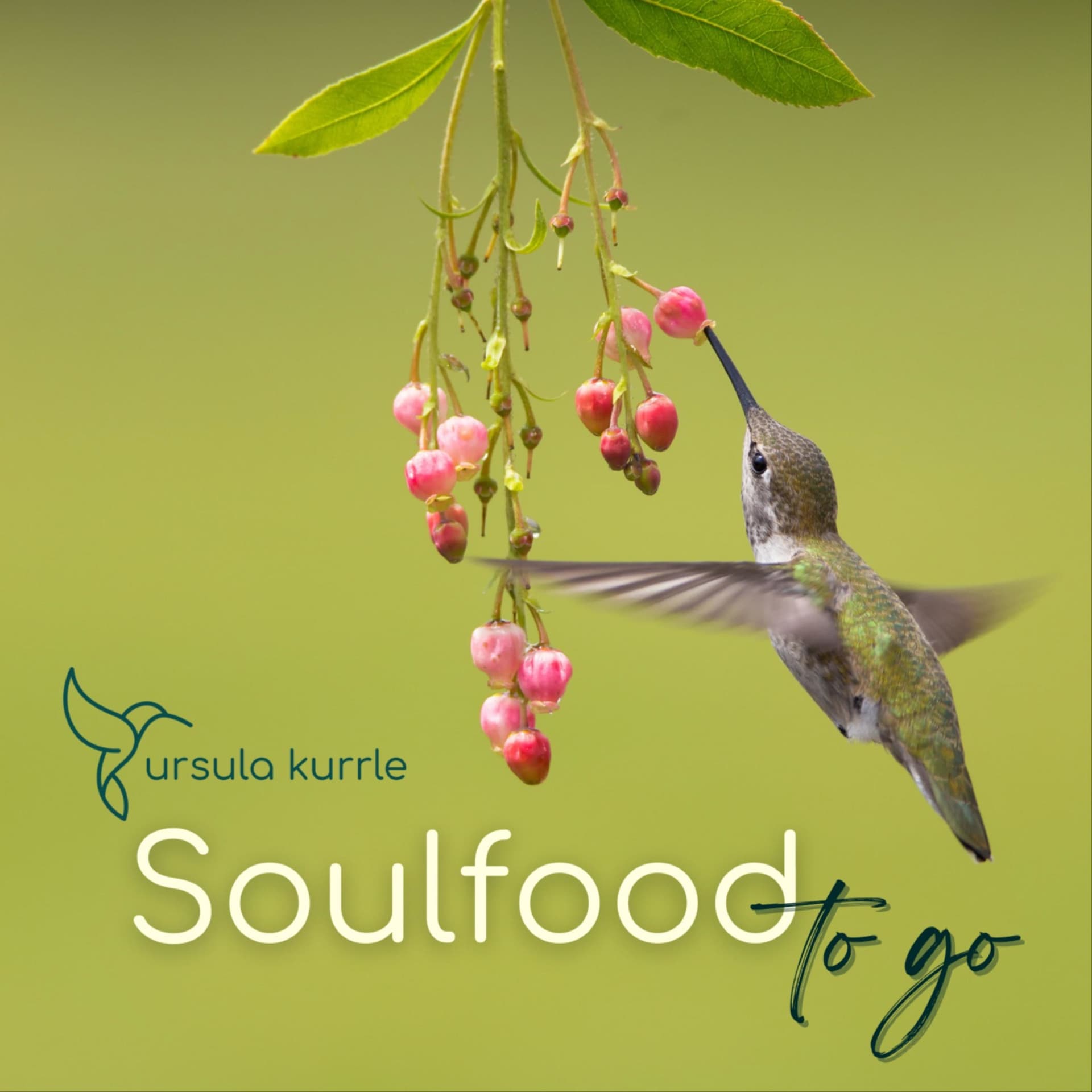 Soulfood to go - Podcasts