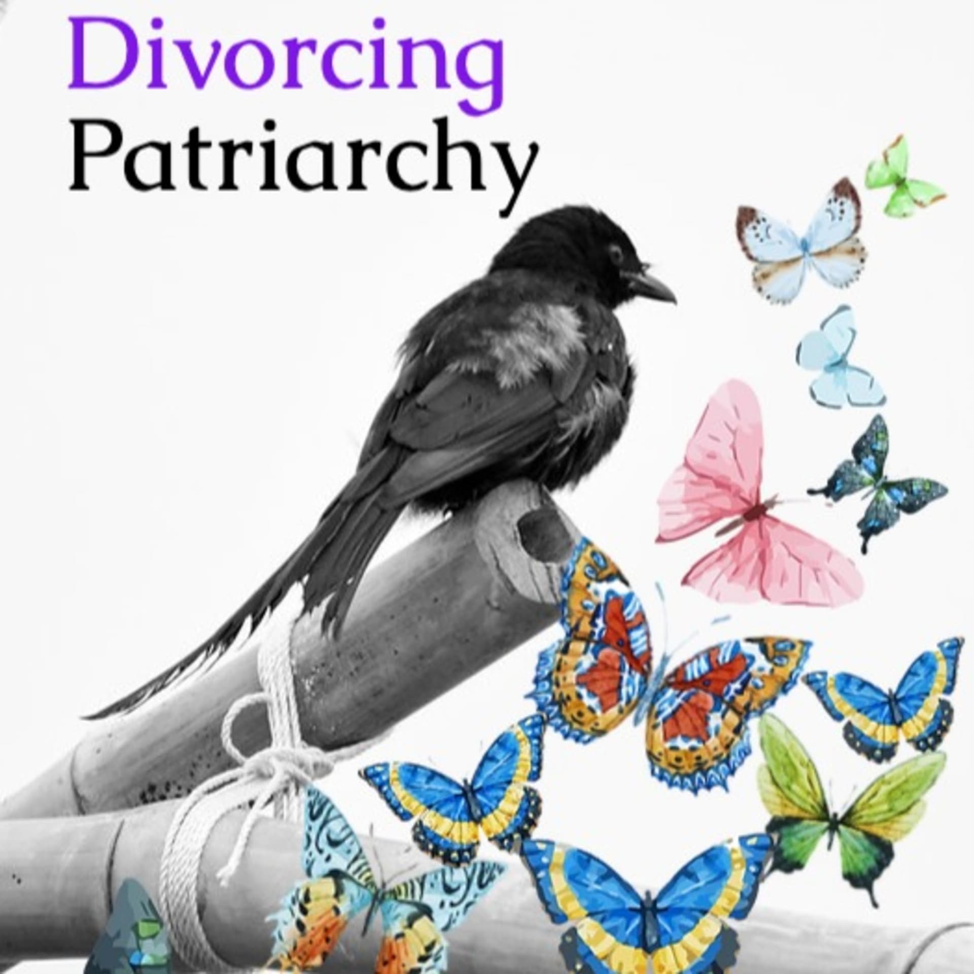 DIVORCING PATRIARCHY - Podcasts