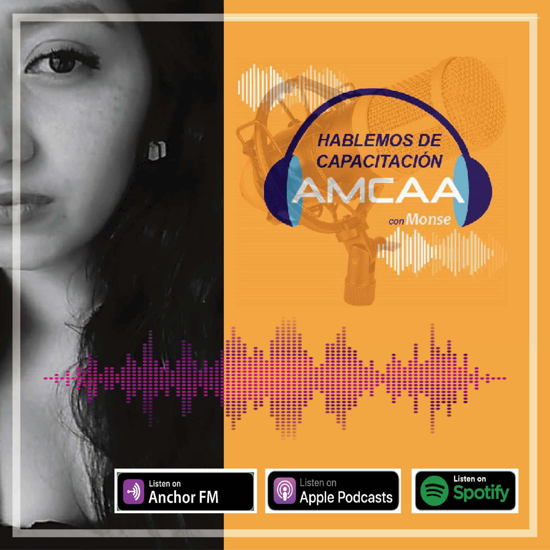 Hablemos de Capacitación en AMCAA con Monse - Podcasts