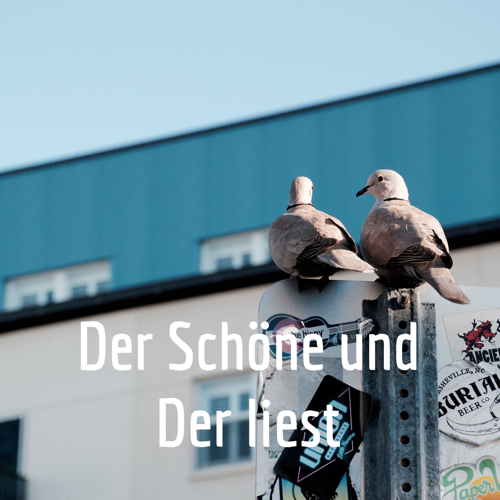Der Schöne und Der liest - Podcasts