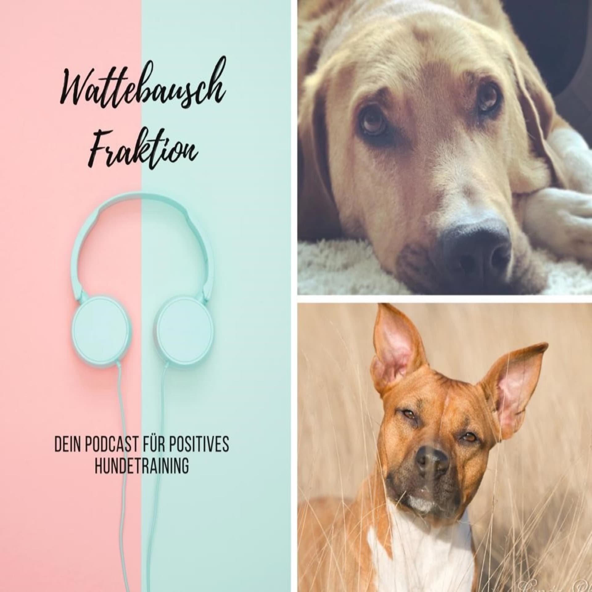 Wattebauschfraktion - Podcasts