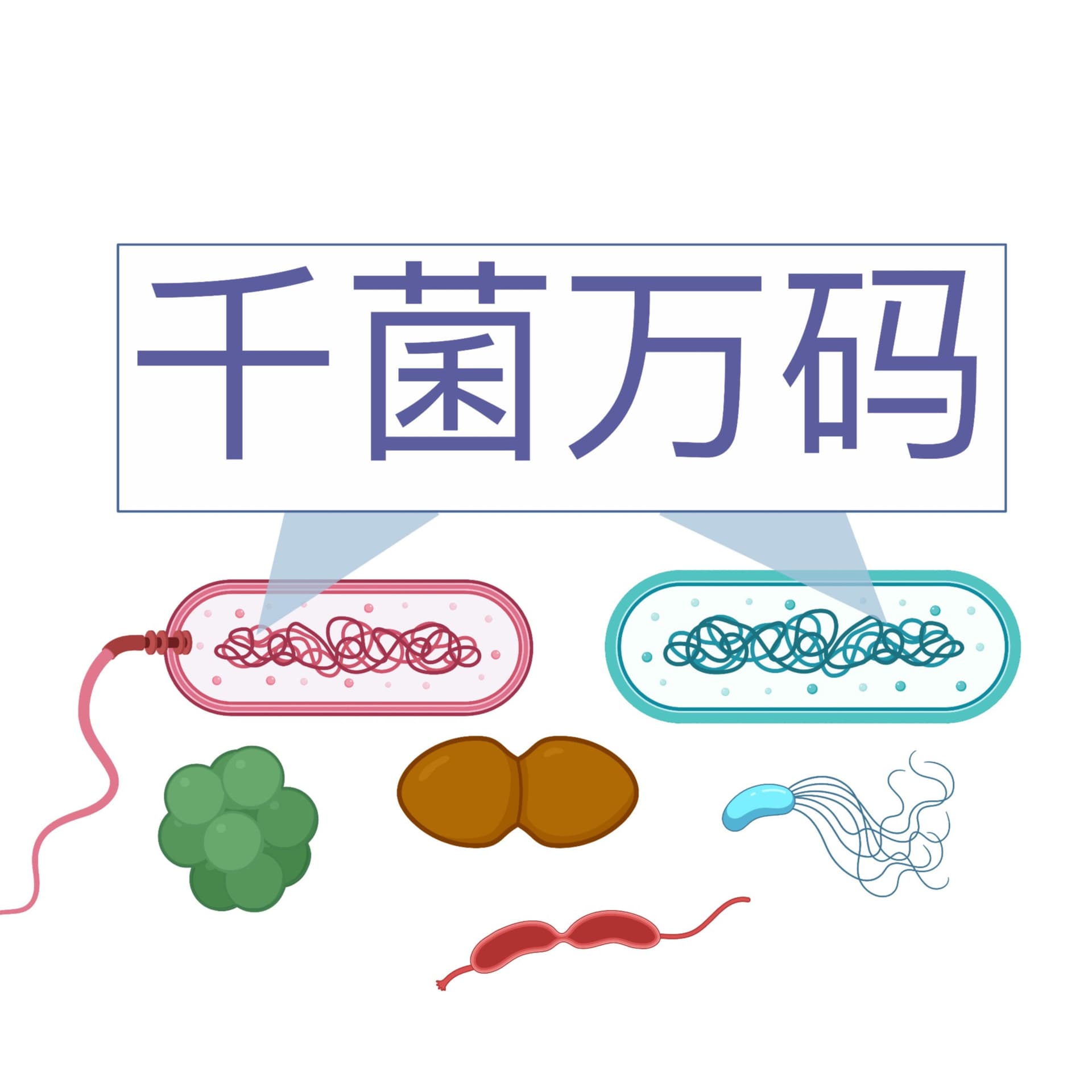 千菌万码 Microbial Matters - Podcasts
