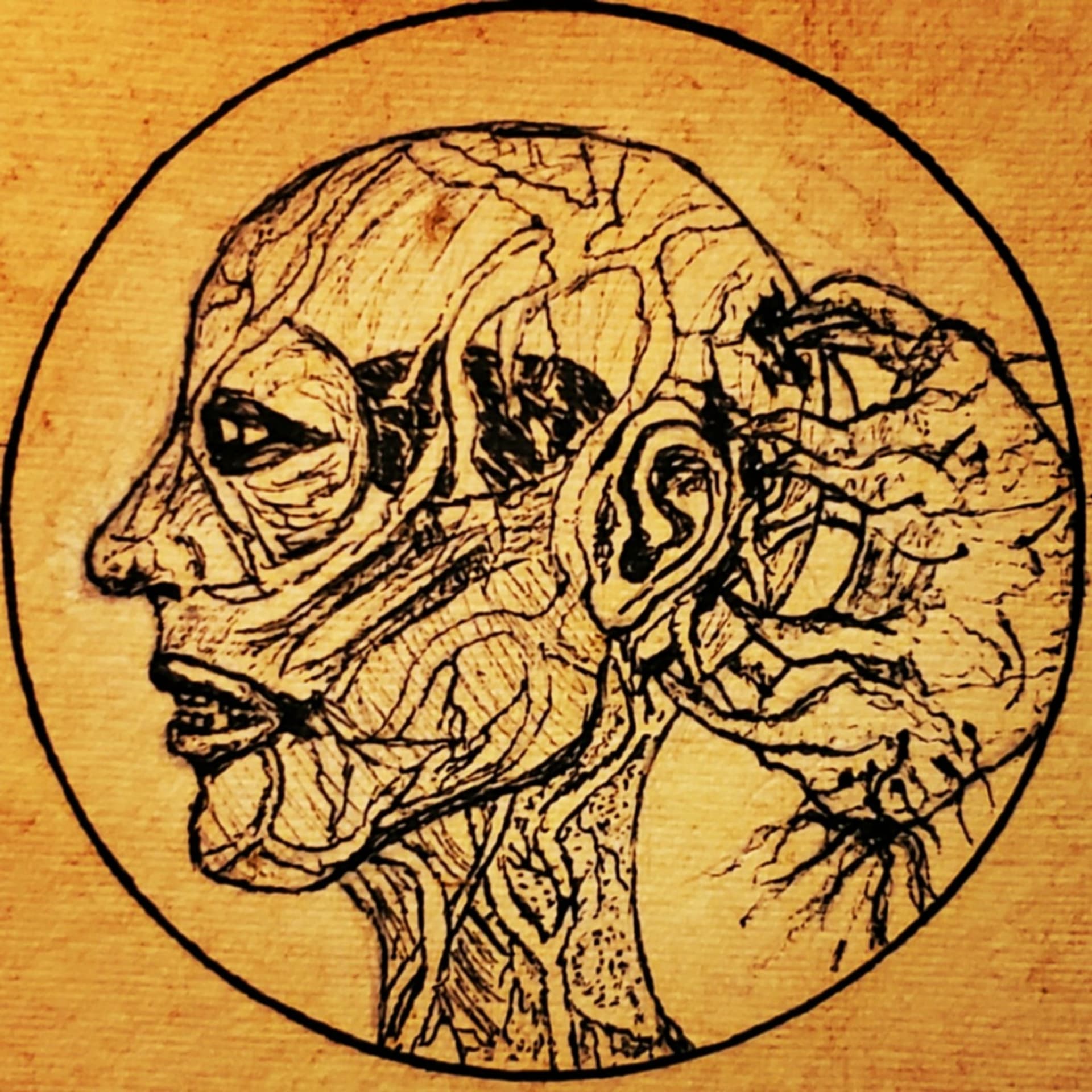 Brain Mites - Podcasts